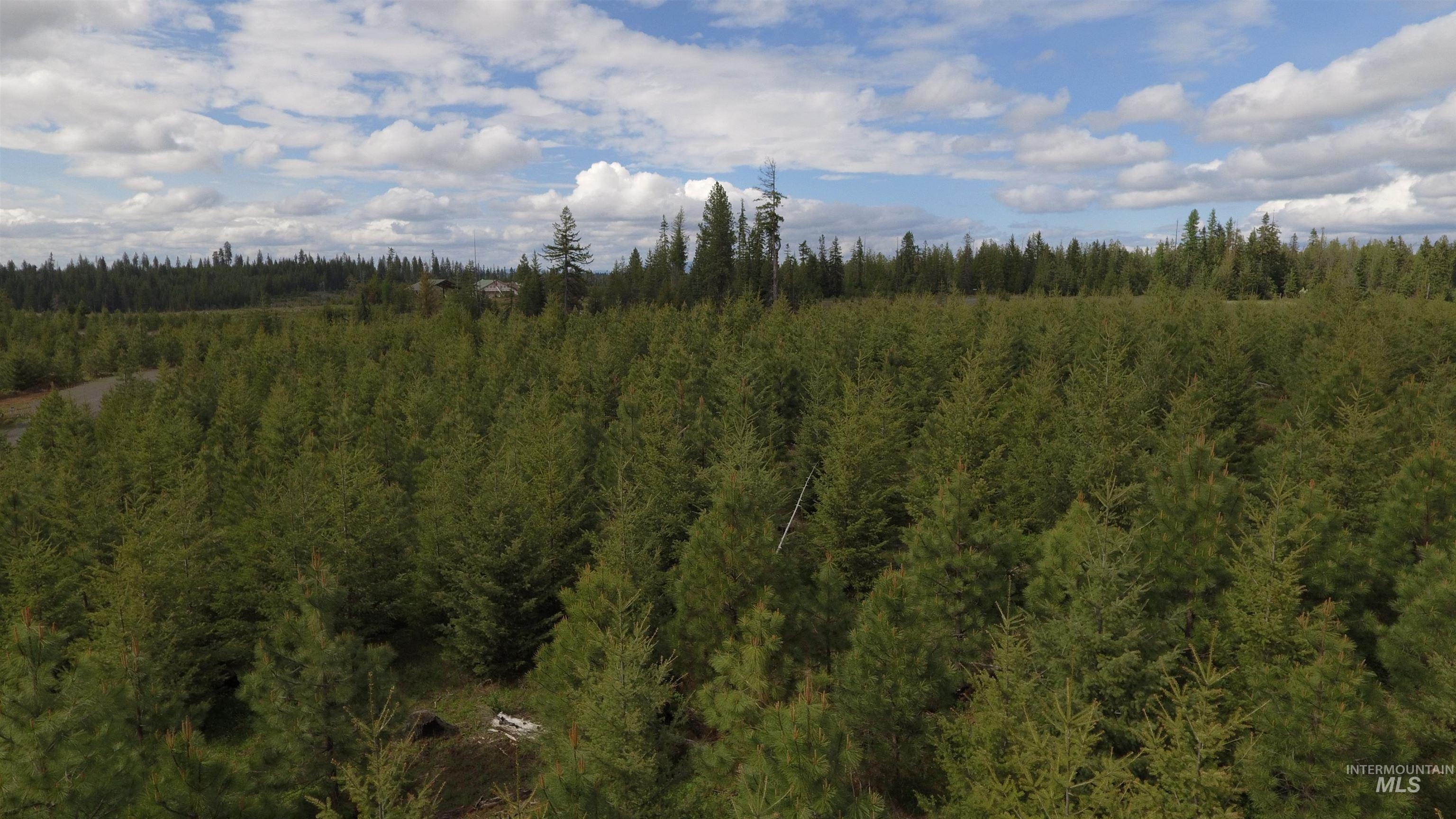 TBD Badger Ridge Dr Parcel 3, Orofino, Idaho 83544, Land For Sale, Price $213,900,MLS 98948740