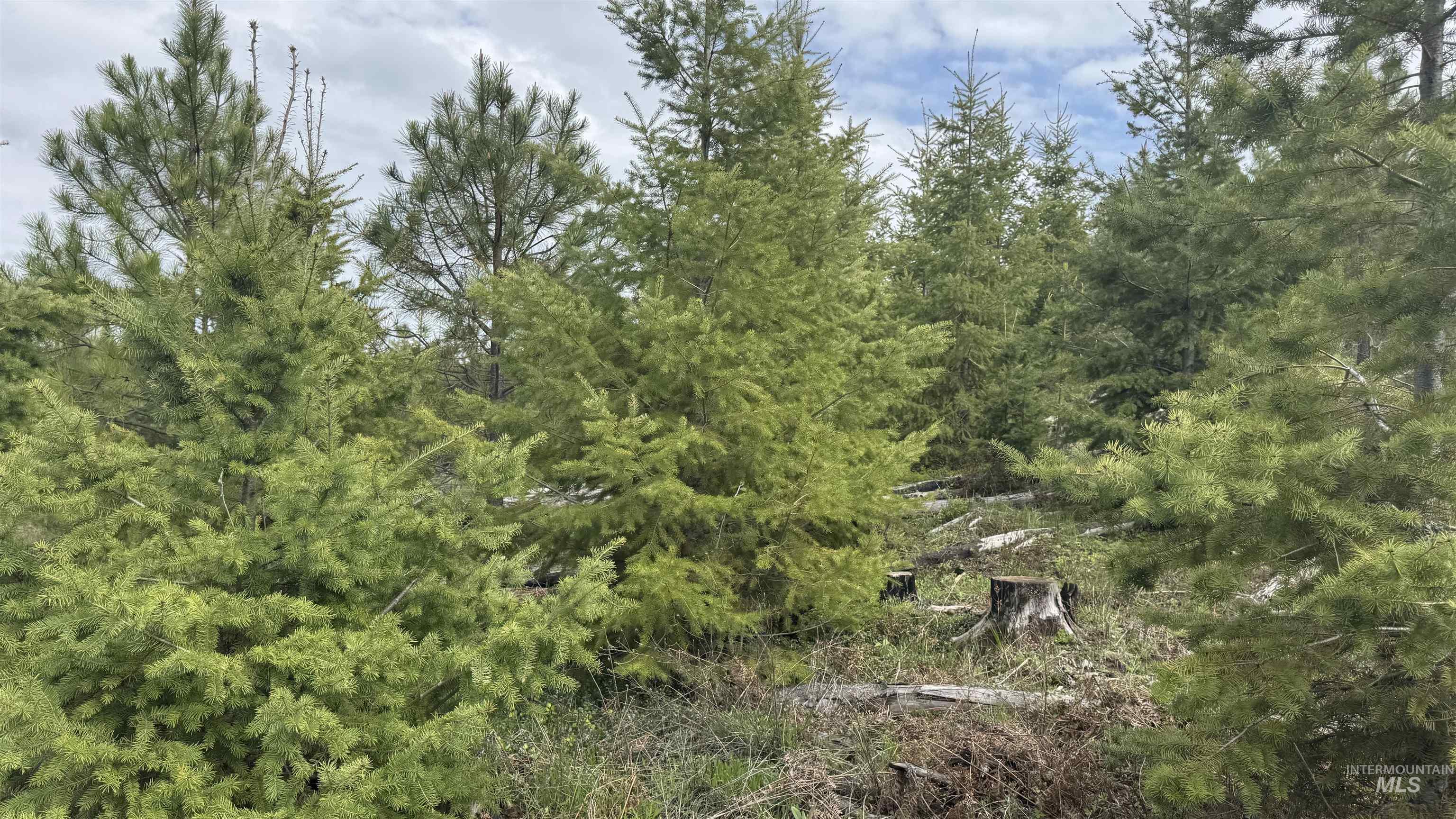 TBD Badger Ridge Dr Parcel 3, Orofino, Idaho 83544, Land For Sale, Price $213,900,MLS 98948740