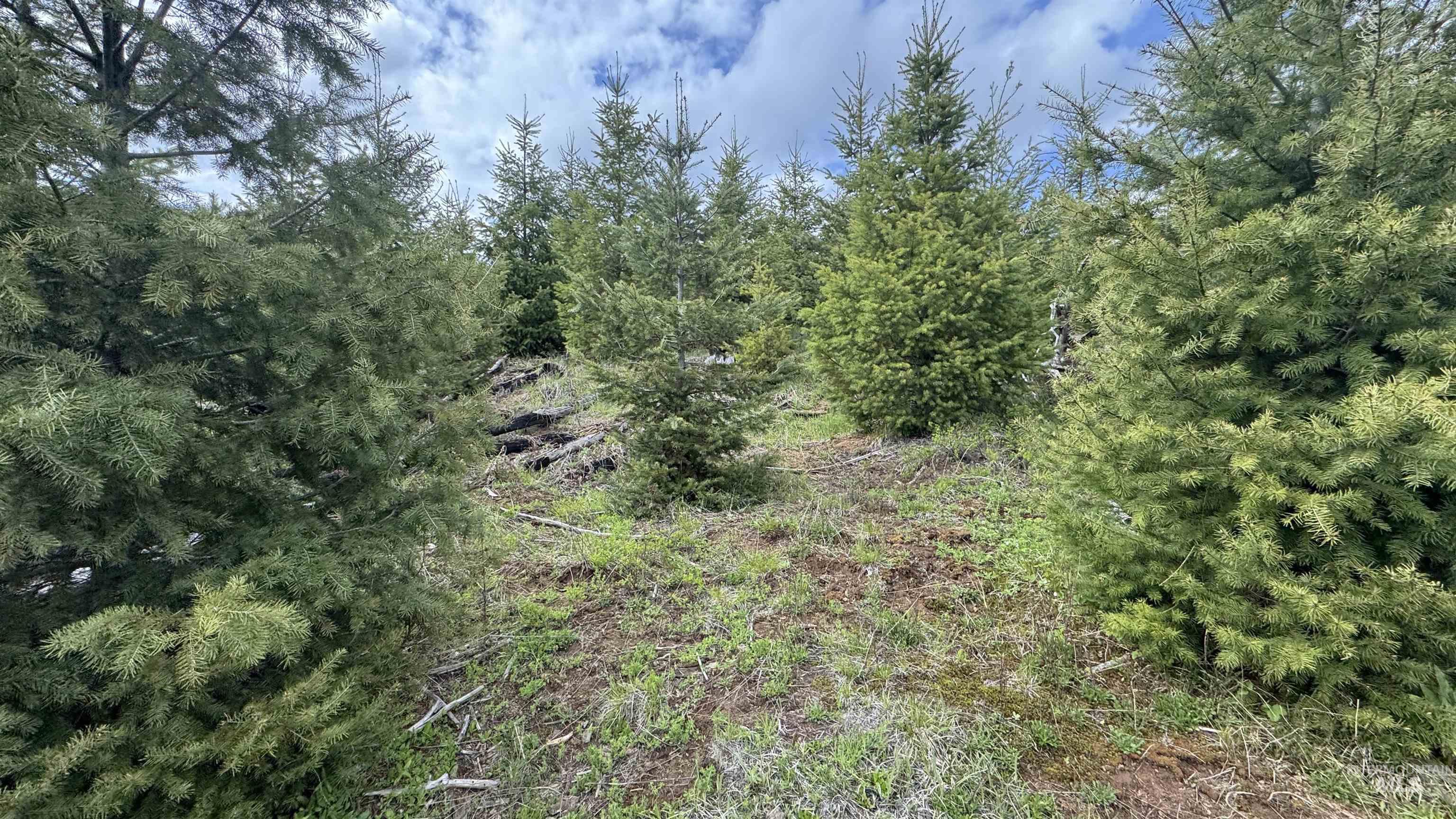 TBD Badger Ridge Dr Parcel 3, Orofino, Idaho 83544, Land For Sale, Price $213,900,MLS 98948740