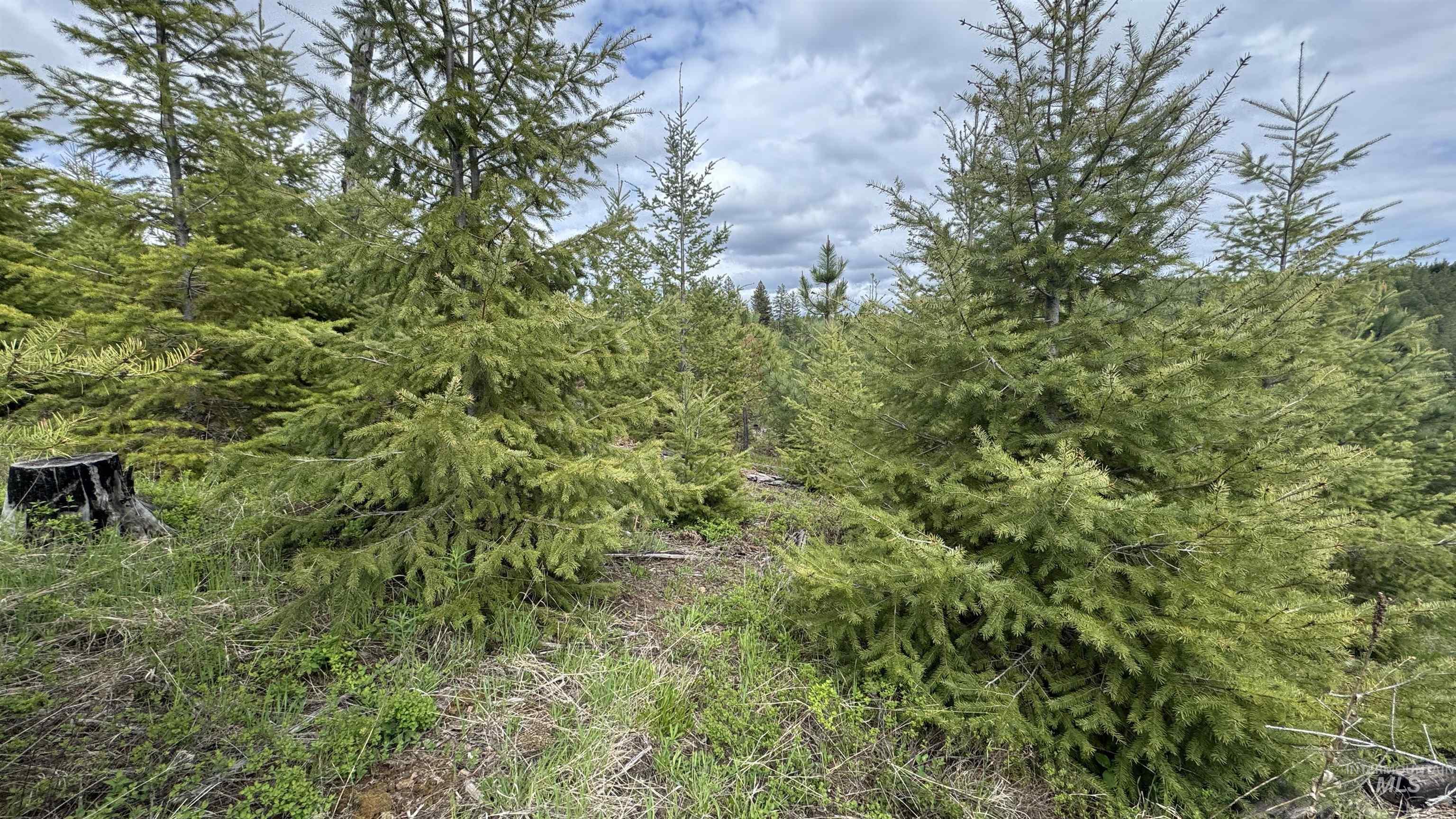 TBD Badger Ridge Dr Parcel 3, Orofino, Idaho 83544, Land For Sale, Price $213,900,MLS 98948740
