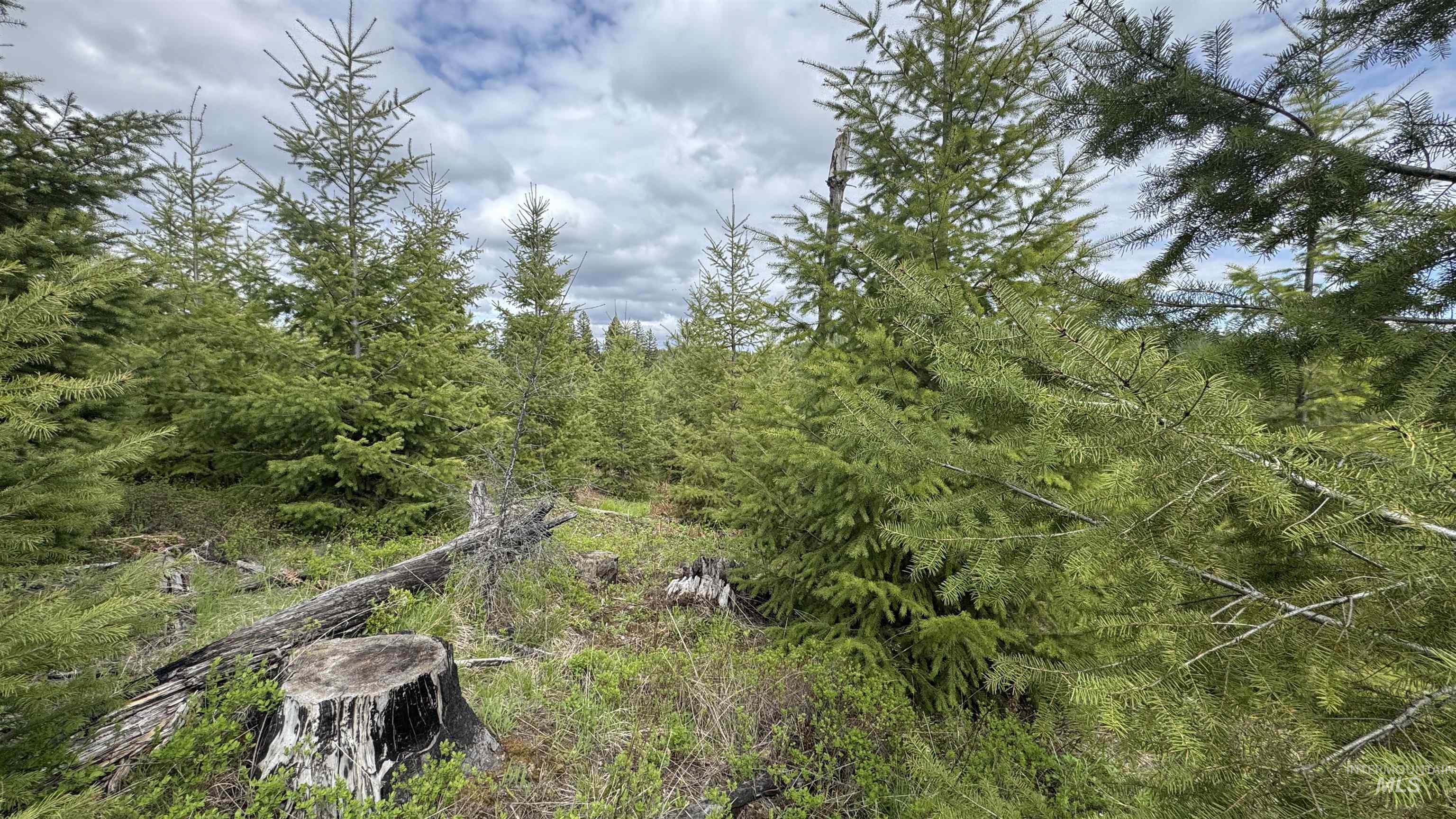 TBD Badger Ridge Dr Parcel 3, Orofino, Idaho 83544, Land For Sale, Price $213,900,MLS 98948740