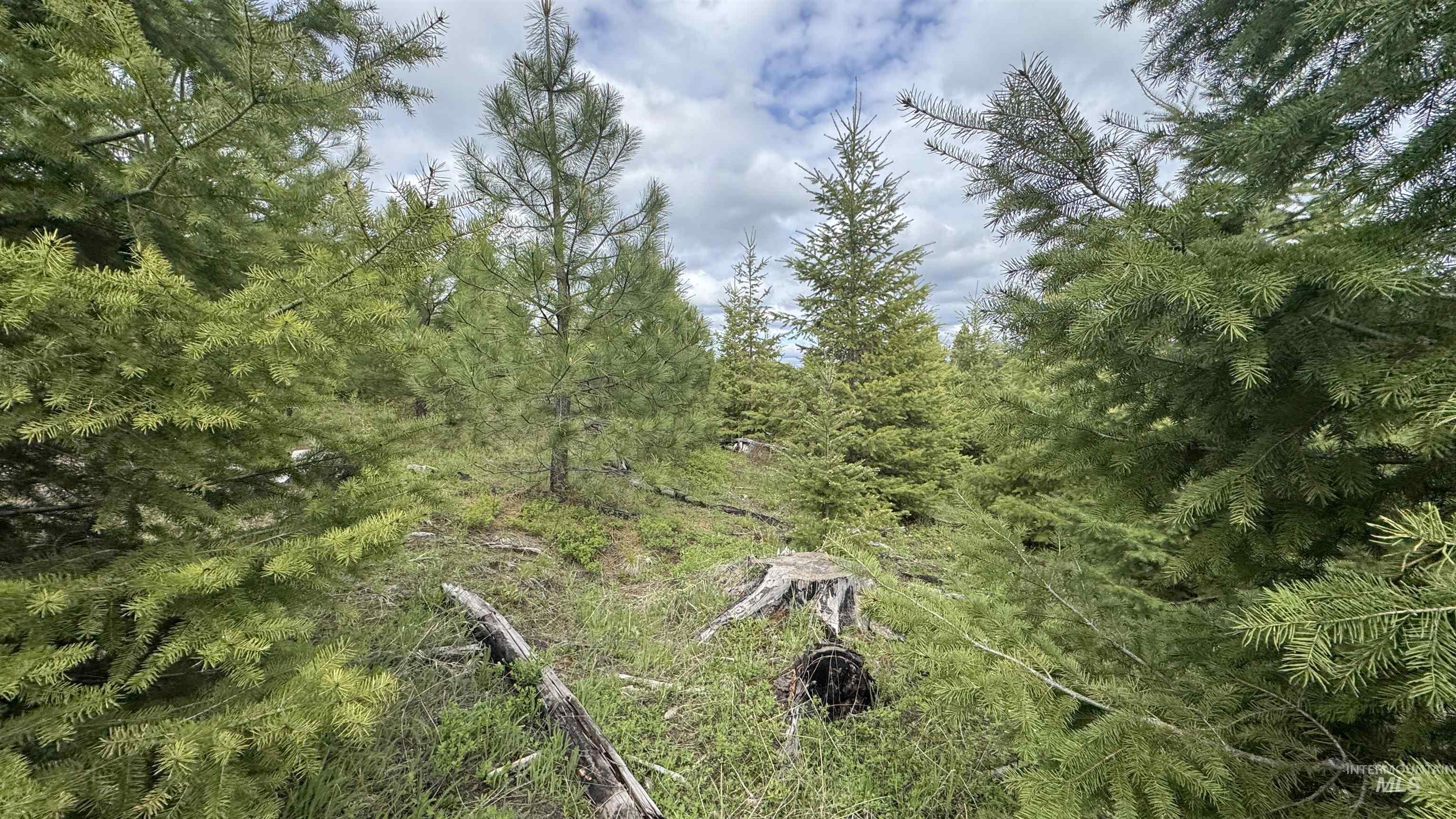 TBD Badger Ridge Dr Parcel 3, Orofino, Idaho 83544, Land For Sale, Price $213,900,MLS 98948740