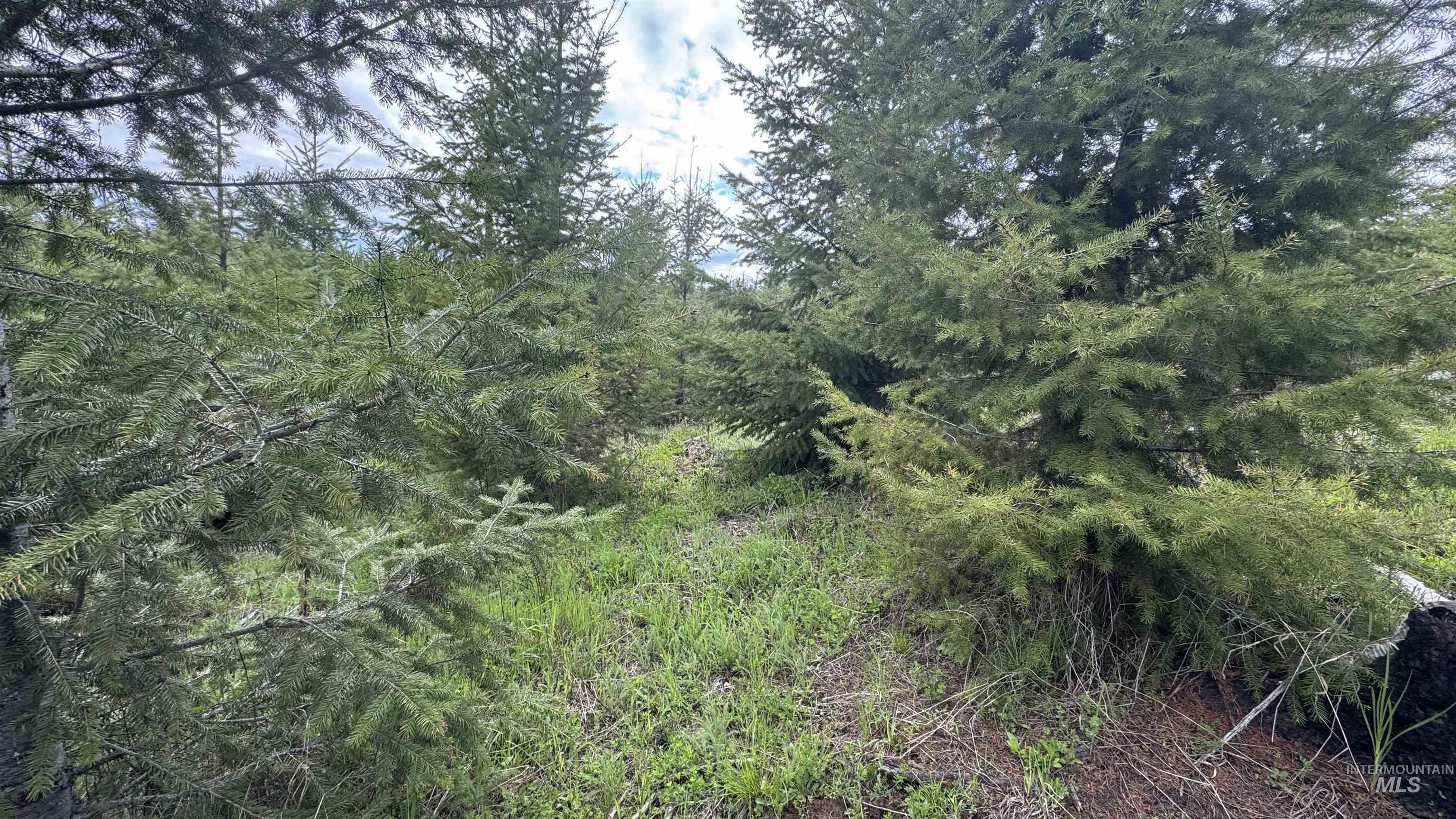 TBD Badger Ridge Dr Parcel 3, Orofino, Idaho 83544, Land For Sale, Price $213,900,MLS 98948740