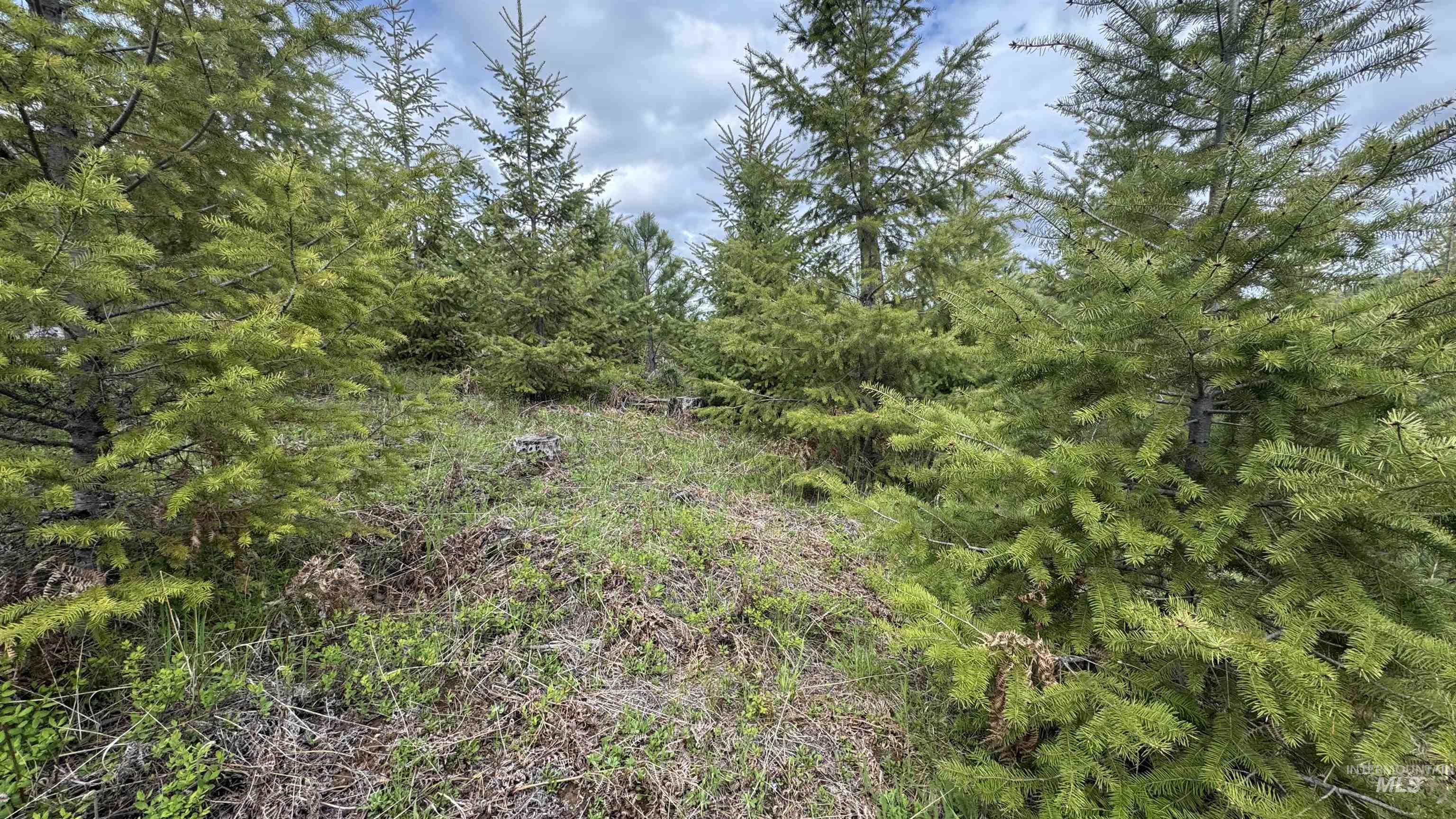 TBD Badger Ridge Dr Parcel 3, Orofino, Idaho 83544, Land For Sale, Price $213,900,MLS 98948740
