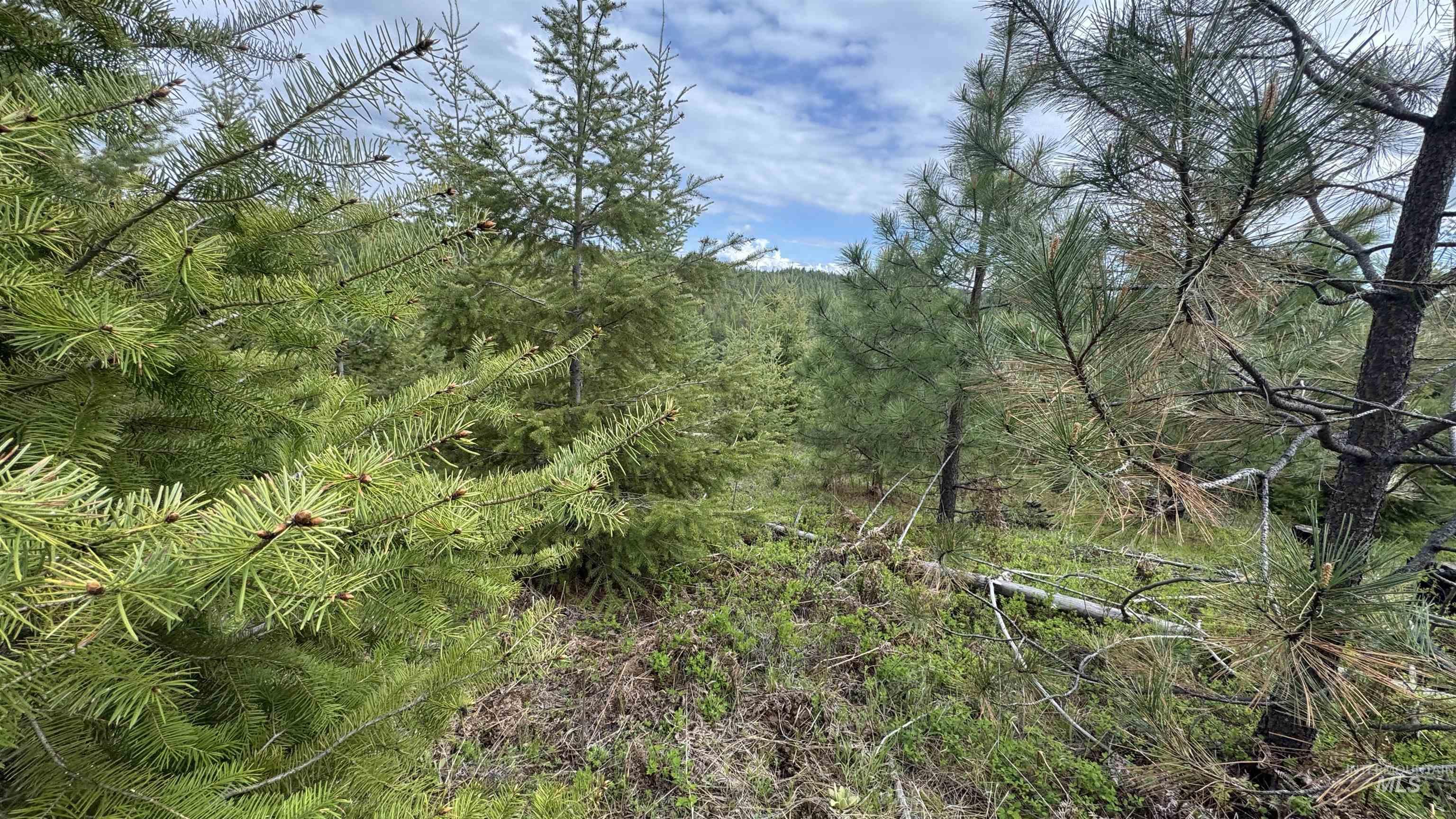 TBD Badger Ridge Dr Parcel 3, Orofino, Idaho 83544, Land For Sale, Price $213,900,MLS 98948740