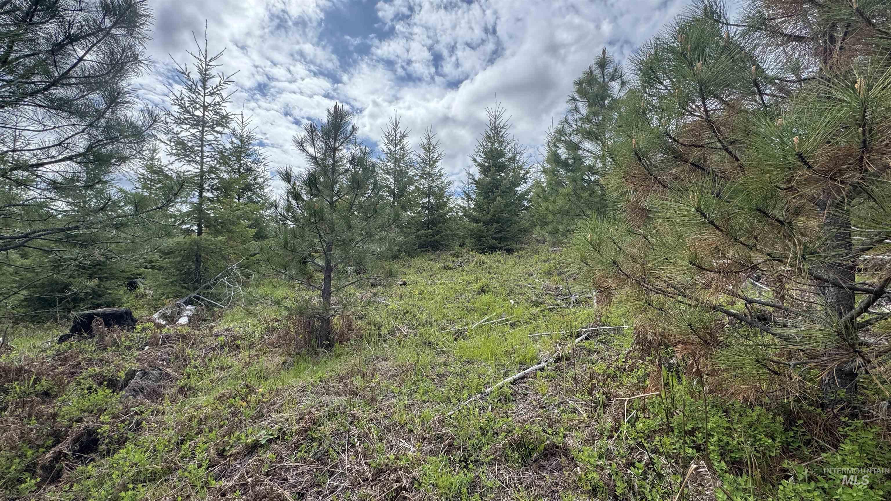 TBD Badger Ridge Dr Parcel 3, Orofino, Idaho 83544, Land For Sale, Price $213,900,MLS 98948740