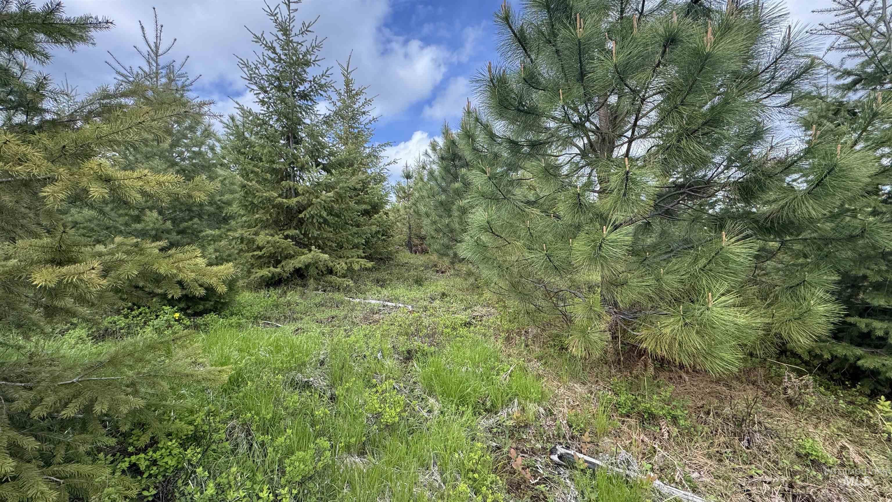 TBD Badger Ridge Dr Parcel 3, Orofino, Idaho 83544, Land For Sale, Price $213,900,MLS 98948740
