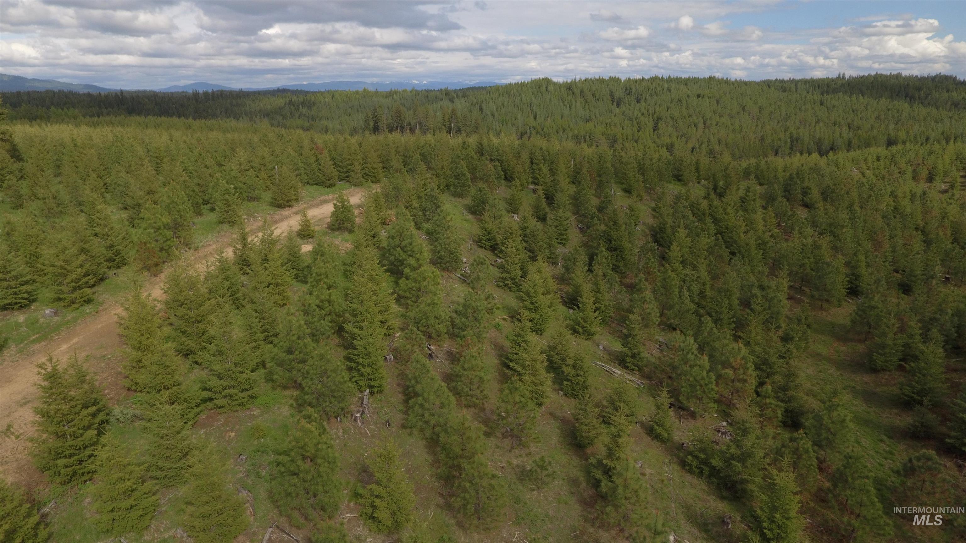 TBD Badger Ridge Dr Parcel 3, Orofino, Idaho 83544, Land For Sale, Price $213,900,MLS 98948740