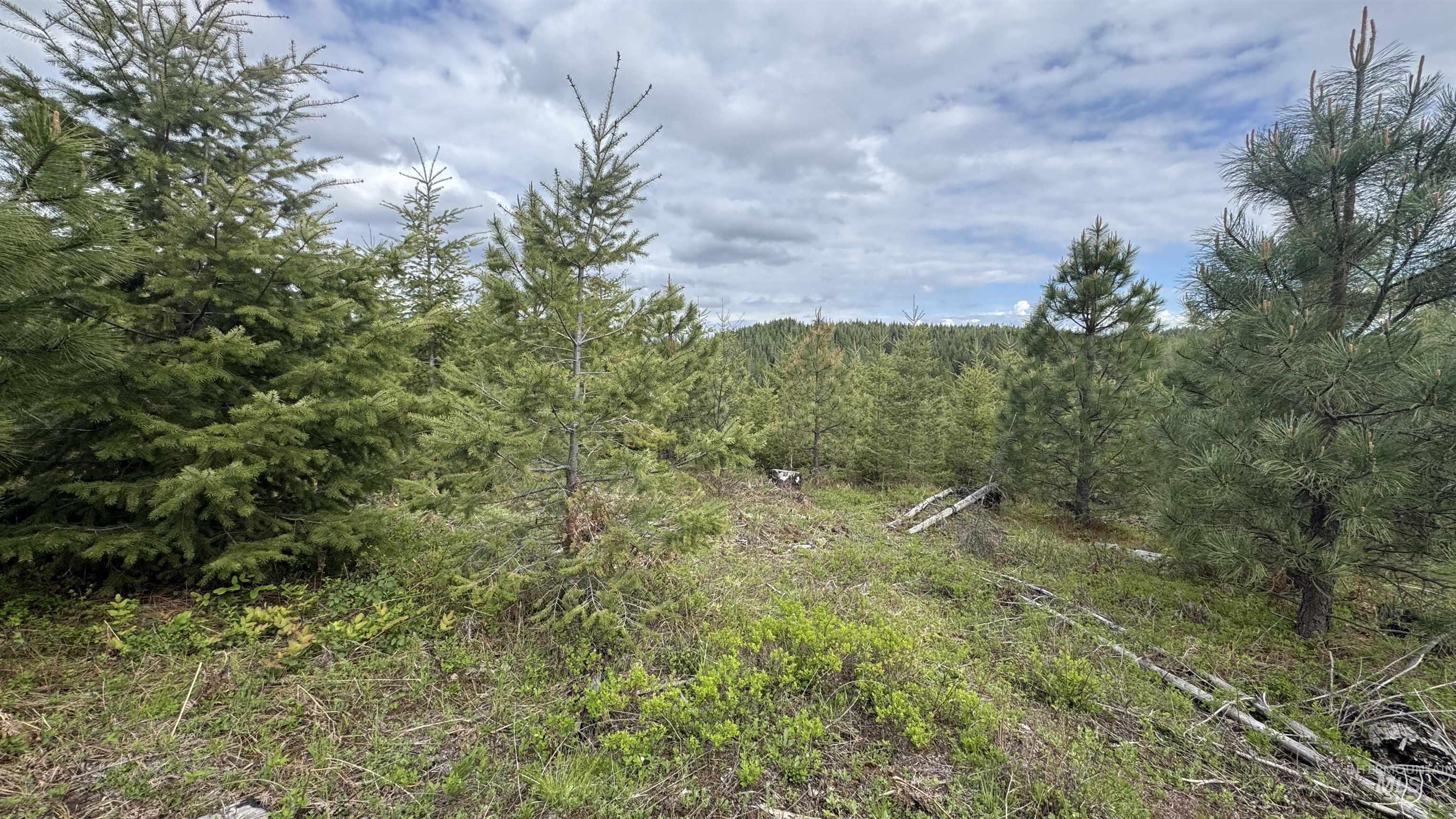TBD Badger Ridge Dr Parcel 3, Orofino, Idaho 83544, Land For Sale, Price $213,900,MLS 98948740