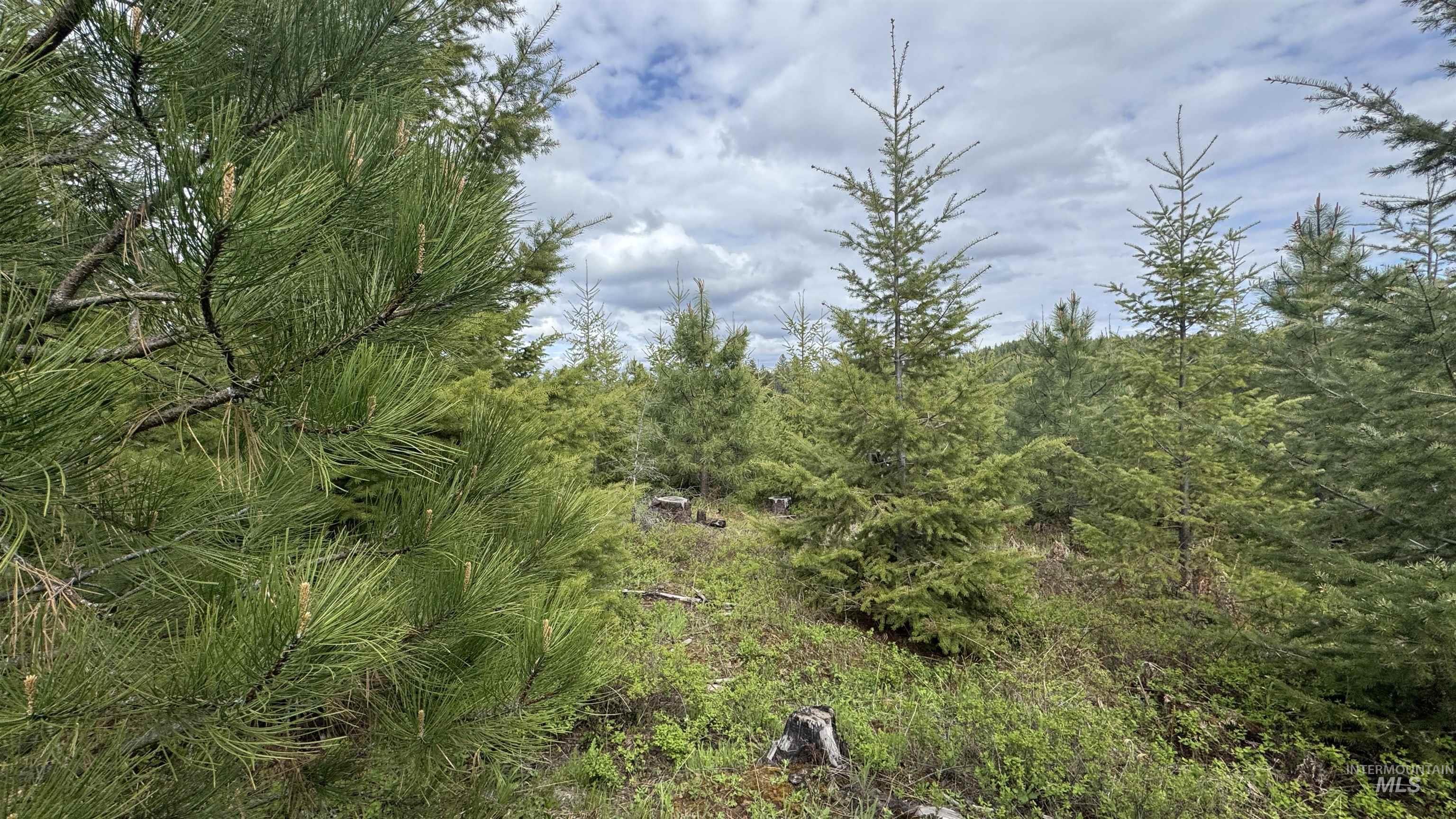 TBD Badger Ridge Dr Parcel 3, Orofino, Idaho 83544, Land For Sale, Price $213,900,MLS 98948740