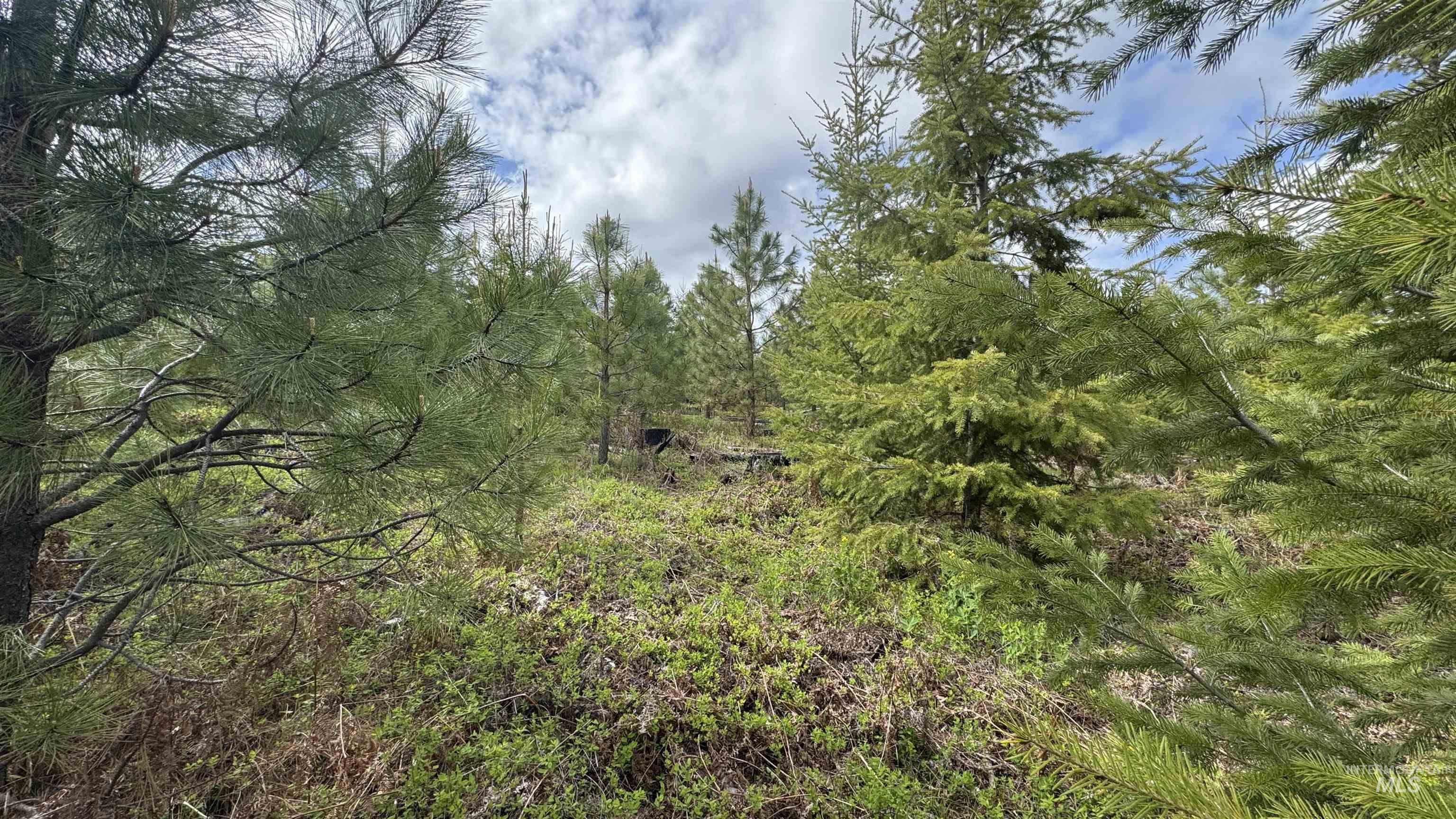 TBD Badger Ridge Dr Parcel 3, Orofino, Idaho 83544, Land For Sale, Price $213,900,MLS 98948740