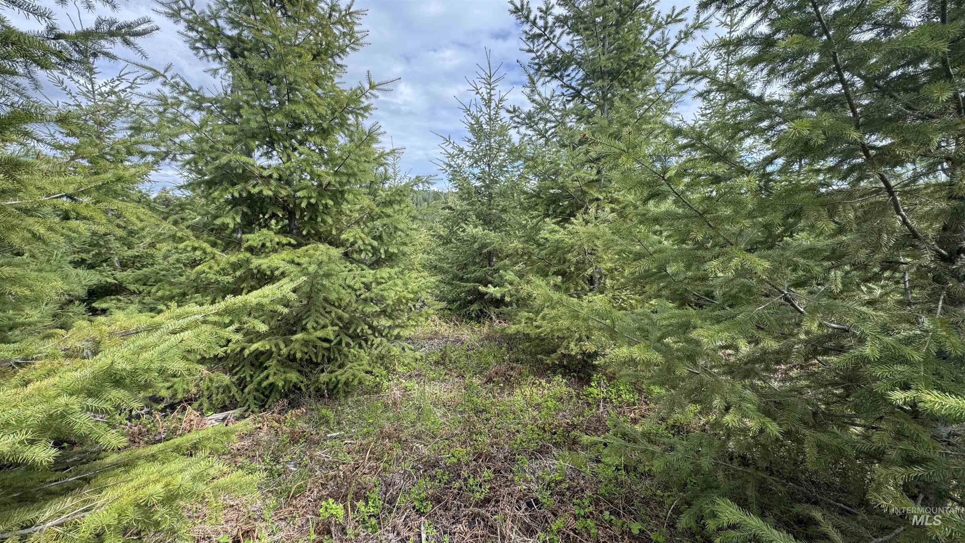 TBD Badger Ridge Dr Parcel 3, Orofino, Idaho 83544, Land For Sale, Price $213,900,MLS 98948740