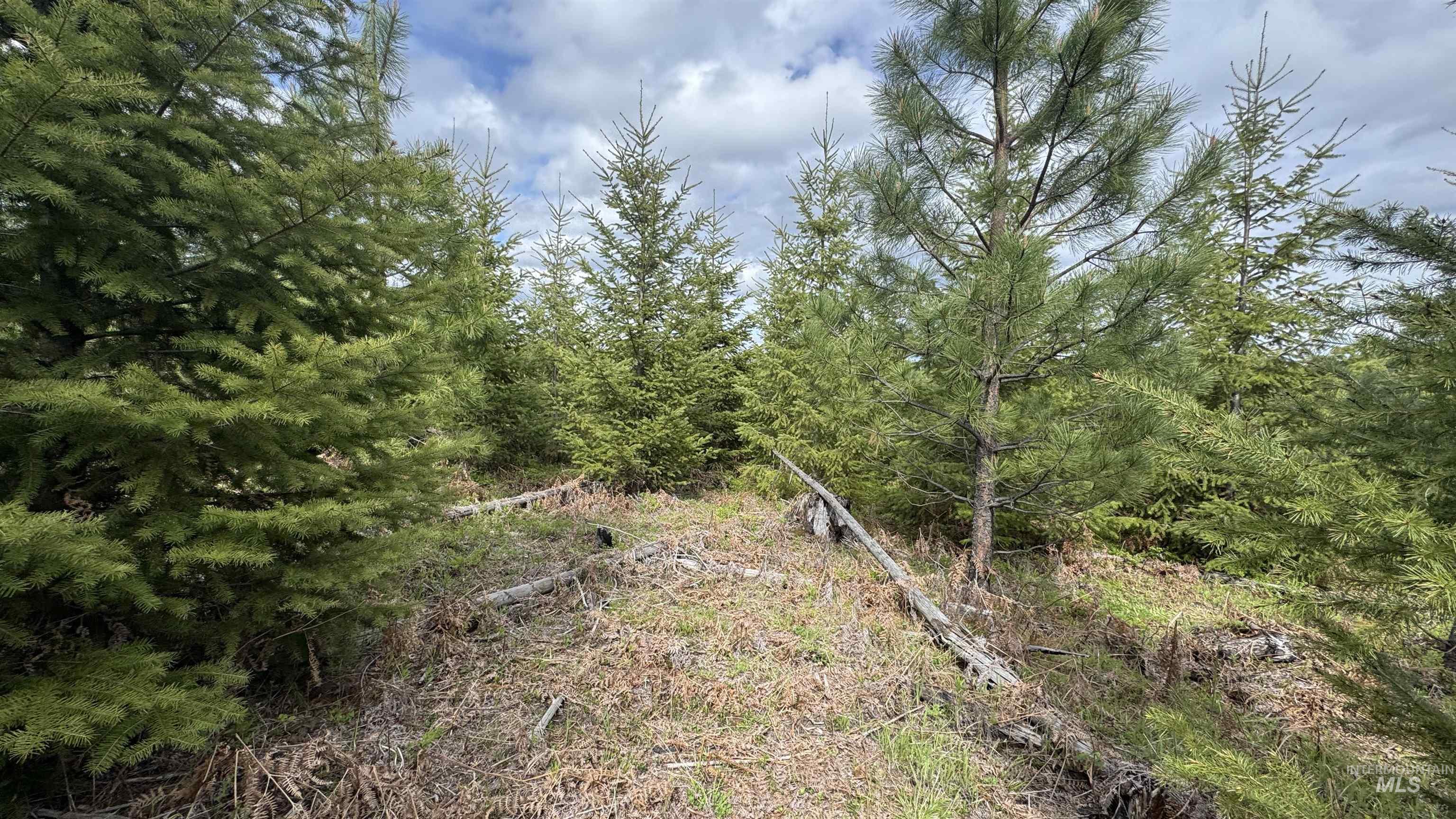 TBD Badger Ridge Dr Parcel 3, Orofino, Idaho 83544, Land For Sale, Price $213,900,MLS 98948740