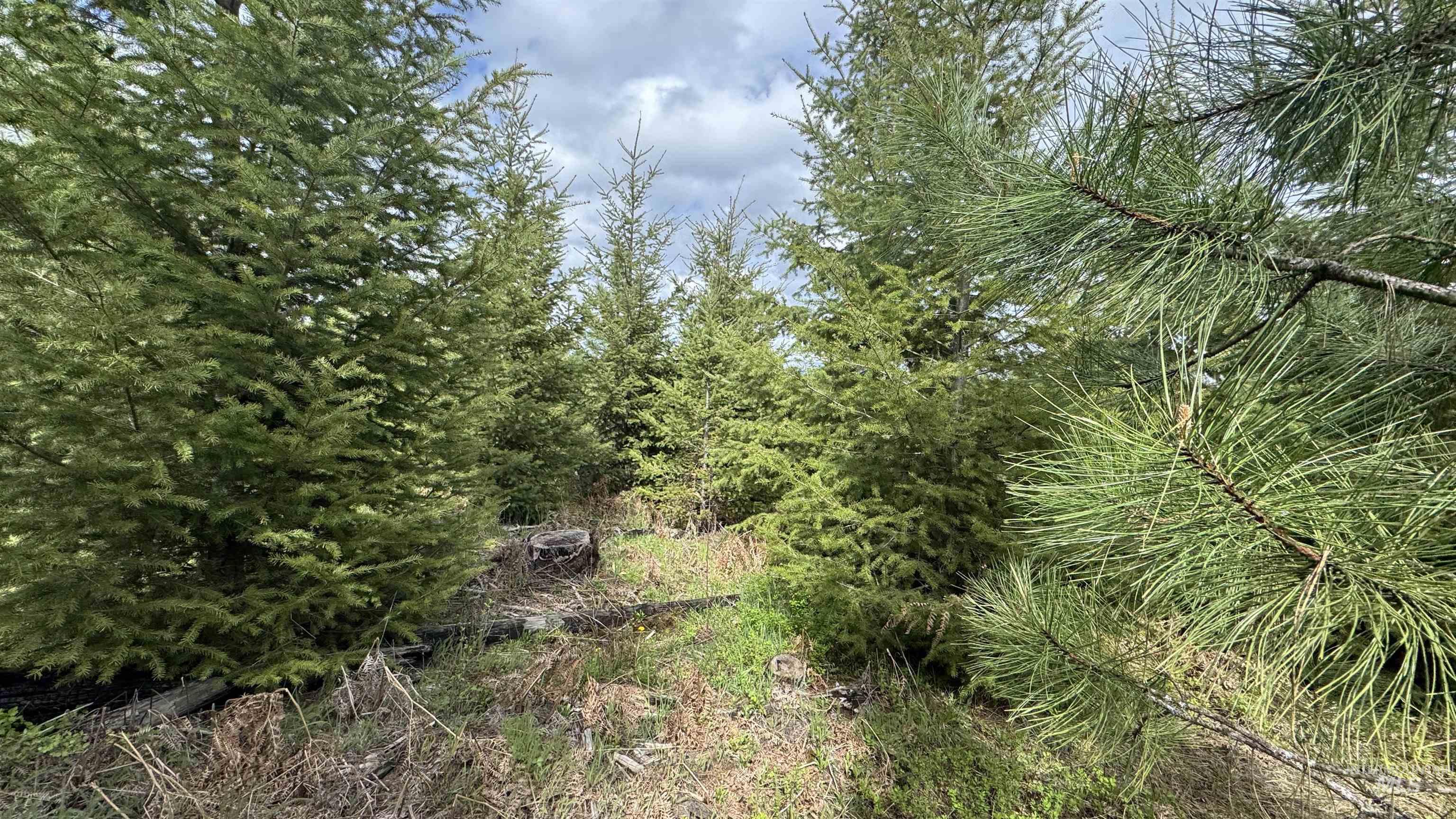 TBD Badger Ridge Dr Parcel 3, Orofino, Idaho 83544, Land For Sale, Price $213,900,MLS 98948740