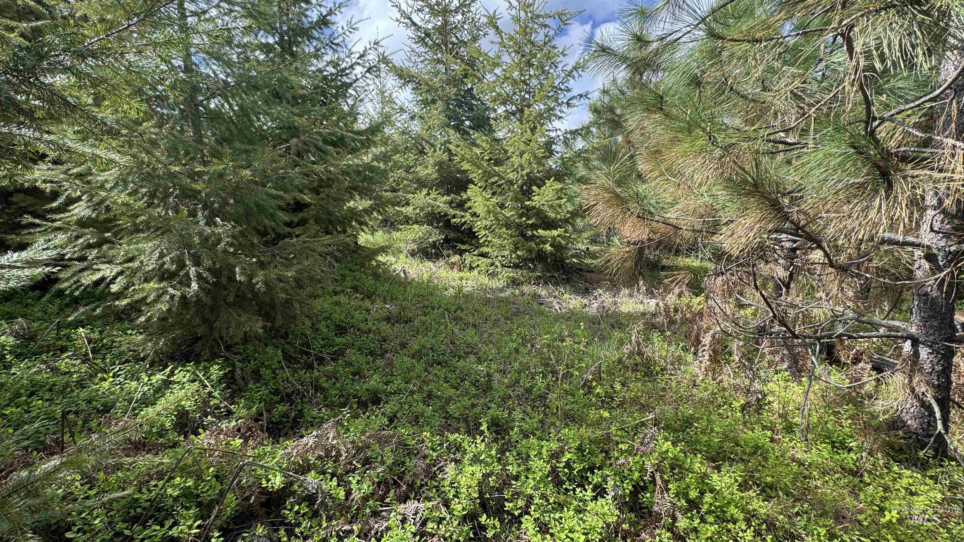 TBD Badger Ridge Dr Parcel 3, Orofino, Idaho 83544, Land For Sale, Price $213,900,MLS 98948740