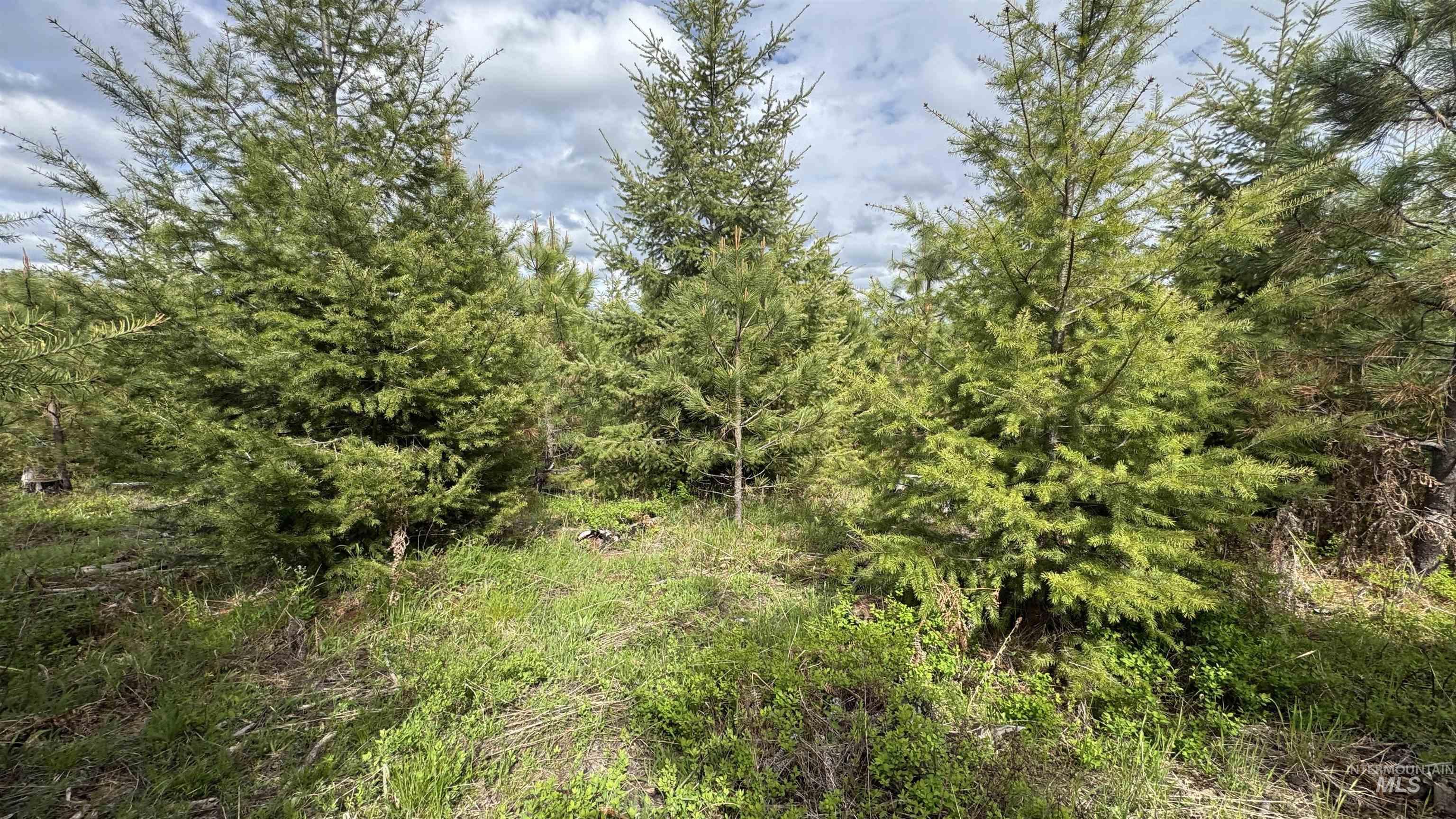TBD Badger Ridge Dr Parcel 3, Orofino, Idaho 83544, Land For Sale, Price $213,900,MLS 98948740
