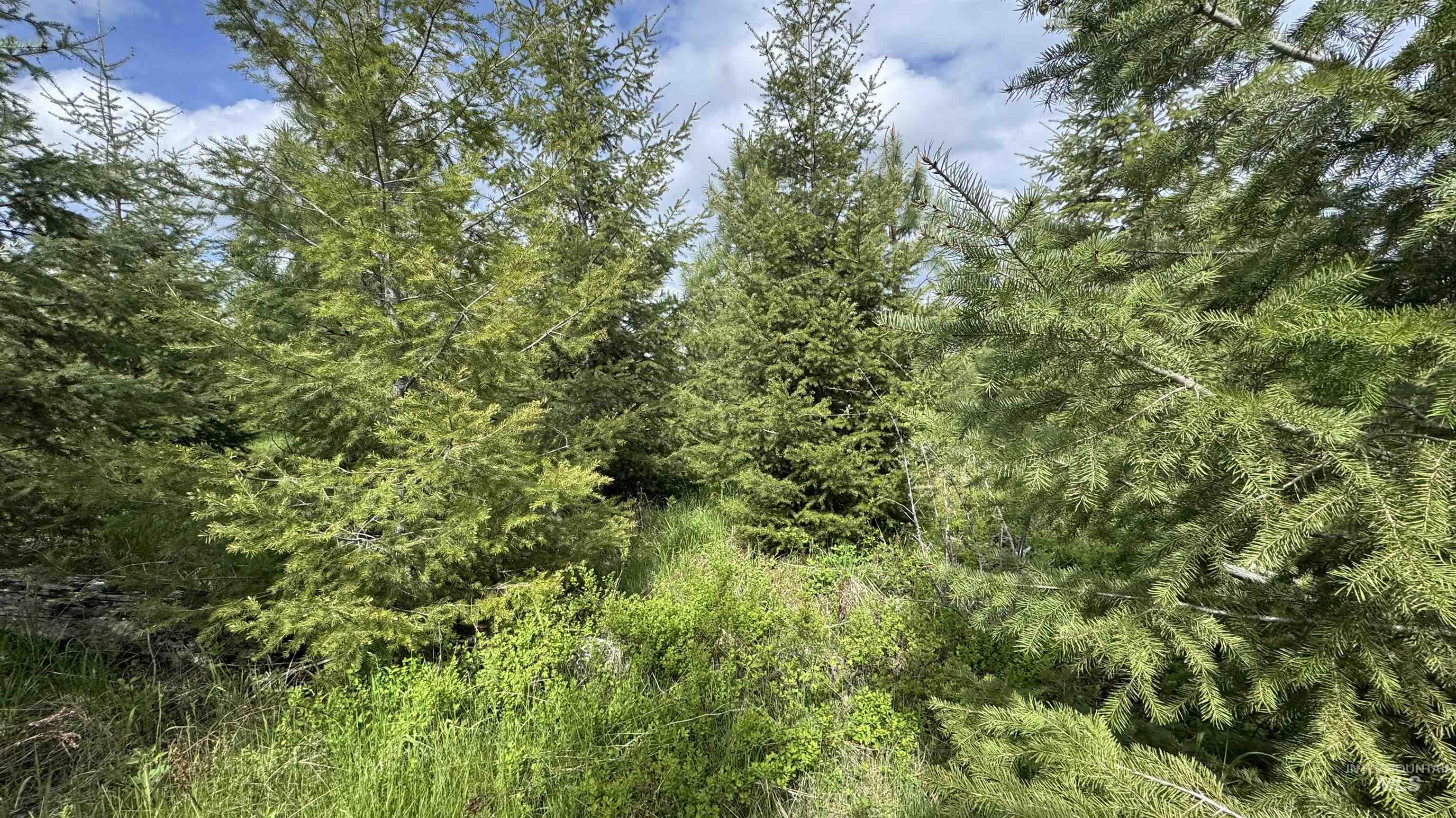 TBD Badger Ridge Dr Parcel 3, Orofino, Idaho 83544, Land For Sale, Price $213,900,MLS 98948740