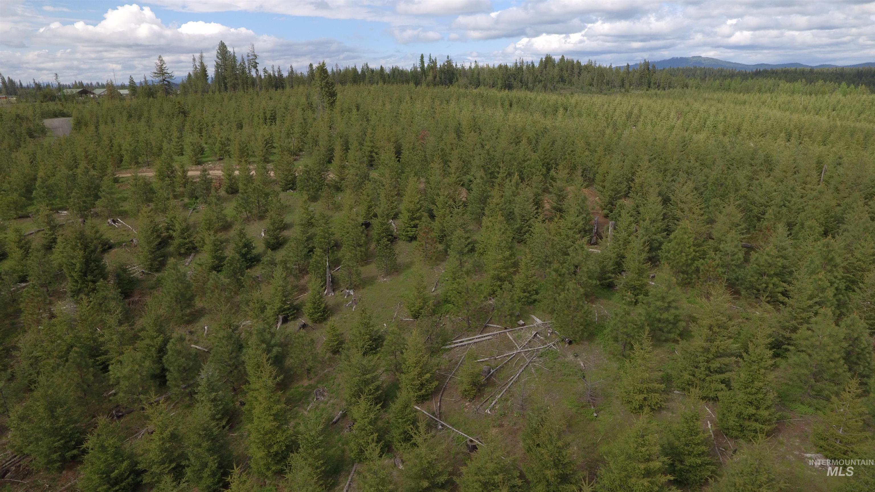 TBD Badger Ridge Dr Parcel 3, Orofino, Idaho 83544, Land For Sale, Price $213,900,MLS 98948740