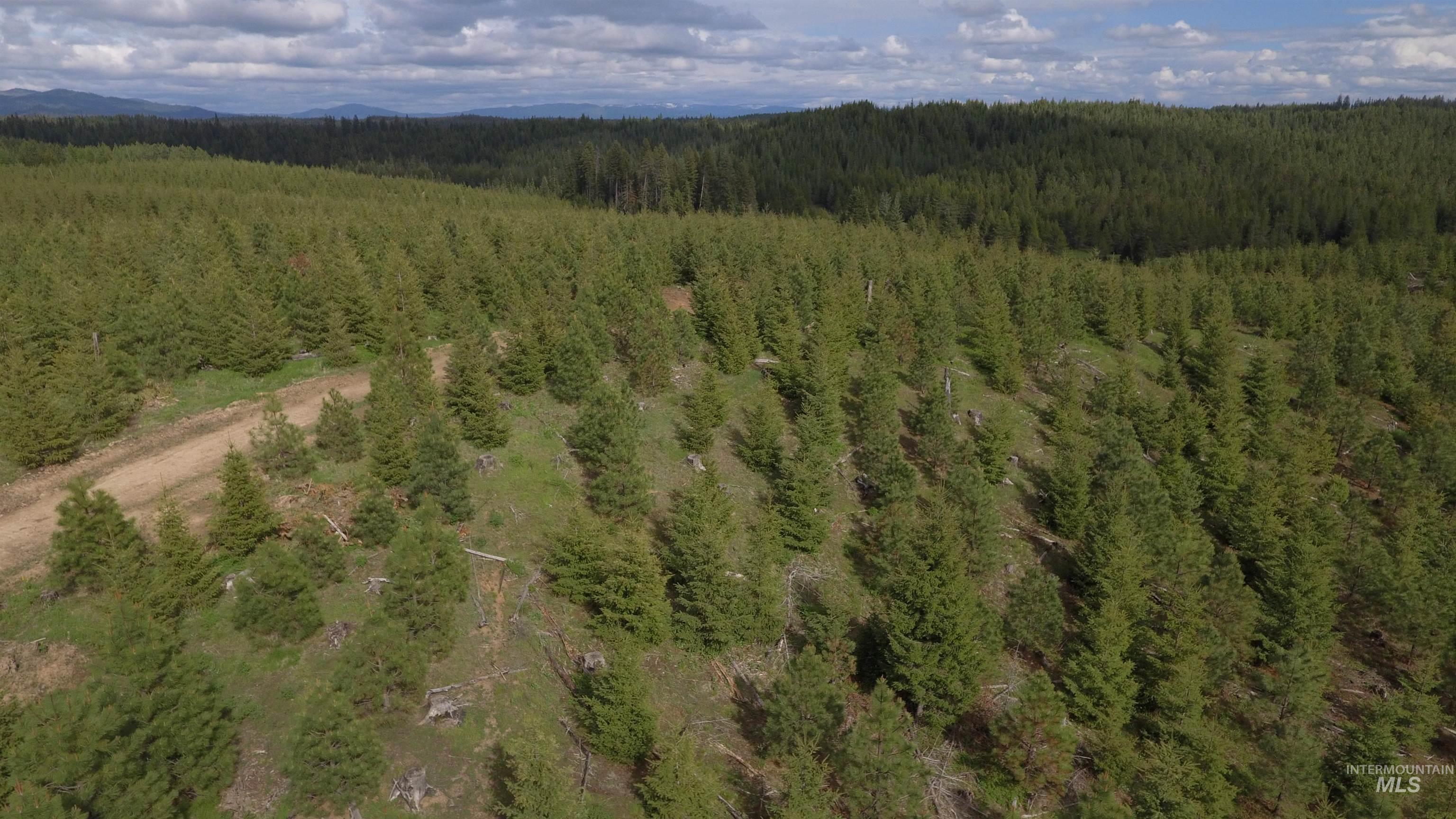 TBD Badger Ridge Dr Parcel 3, Orofino, Idaho 83544, Land For Sale, Price $213,900,MLS 98948740
