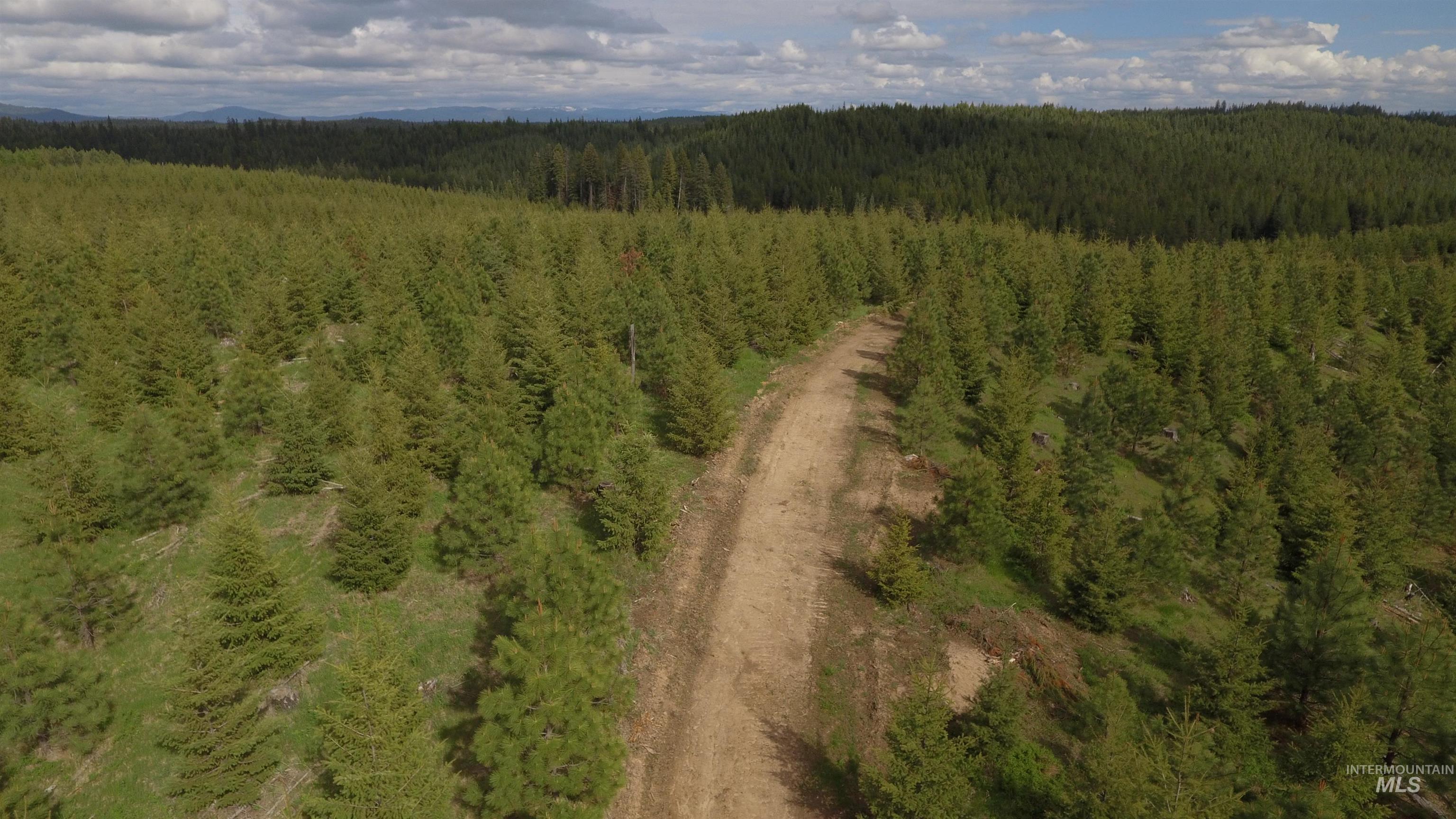 TBD Badger Ridge Dr Parcel 3, Orofino, Idaho 83544, Land For Sale, Price $213,900,MLS 98948740