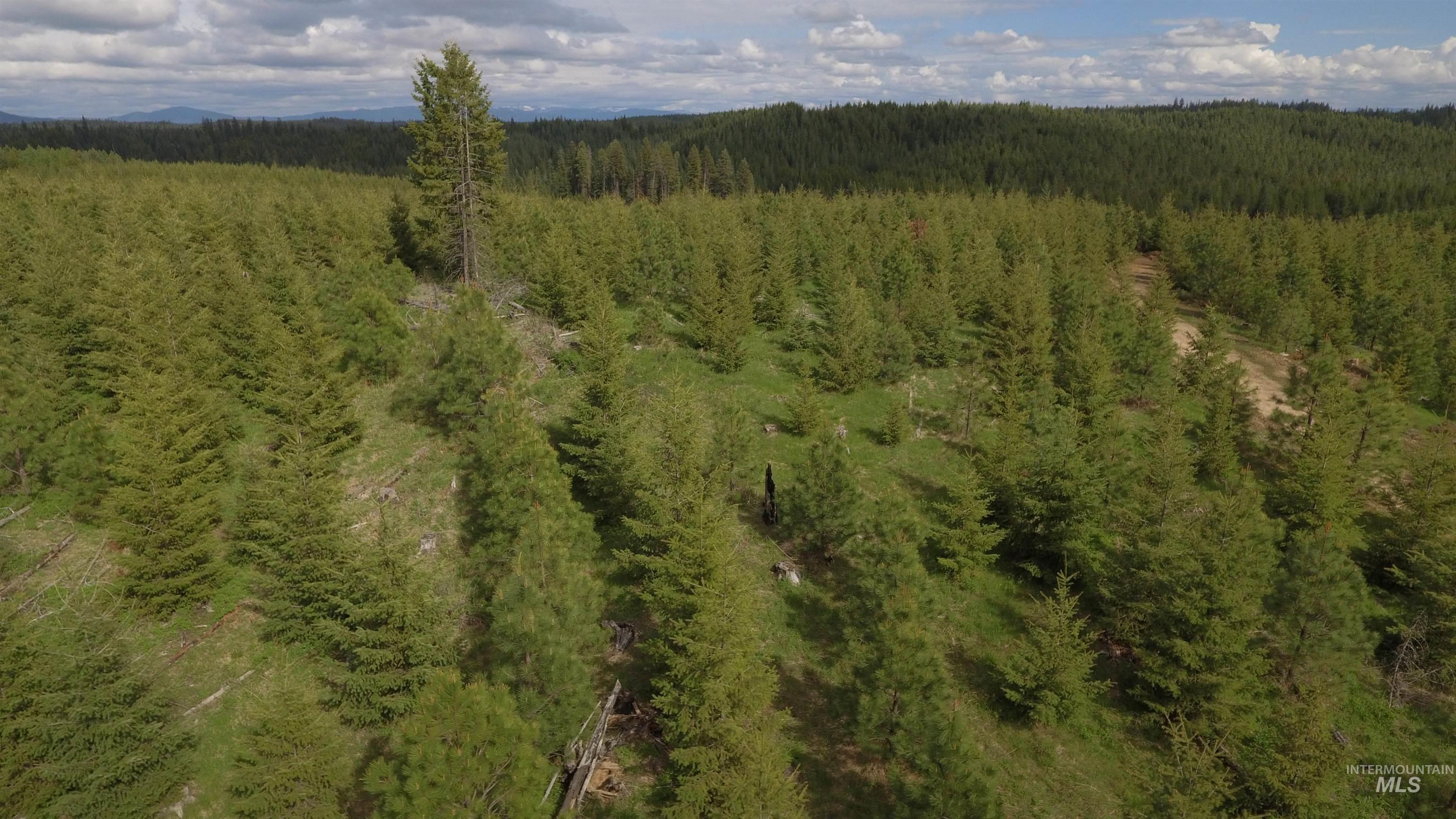 TBD Badger Ridge Dr Parcel 3, Orofino, Idaho 83544, Land For Sale, Price $213,900,MLS 98948740