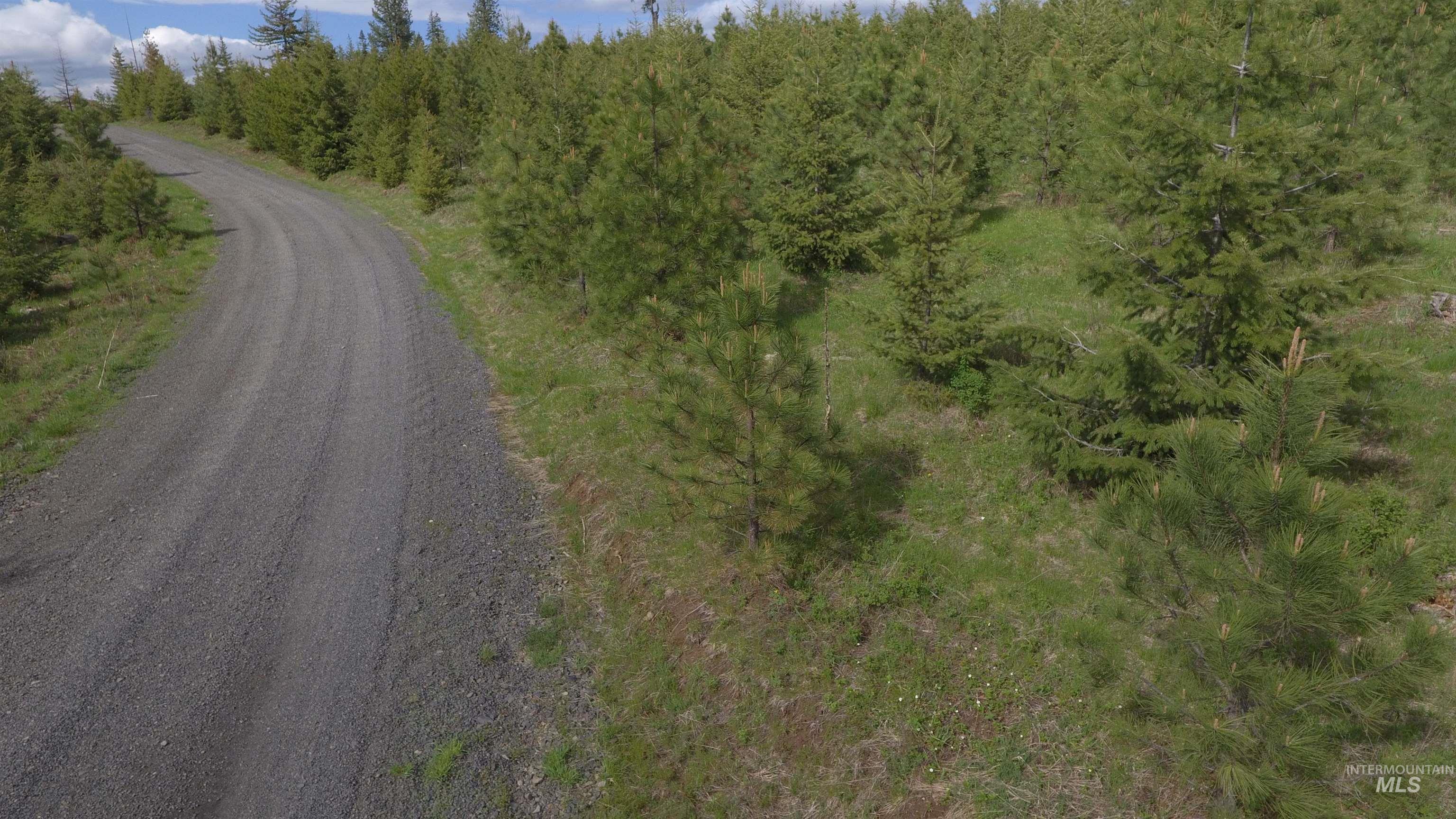 TBD Badger Ridge Dr Parcel 3, Orofino, Idaho 83544, Land For Sale, Price $213,900,MLS 98948740