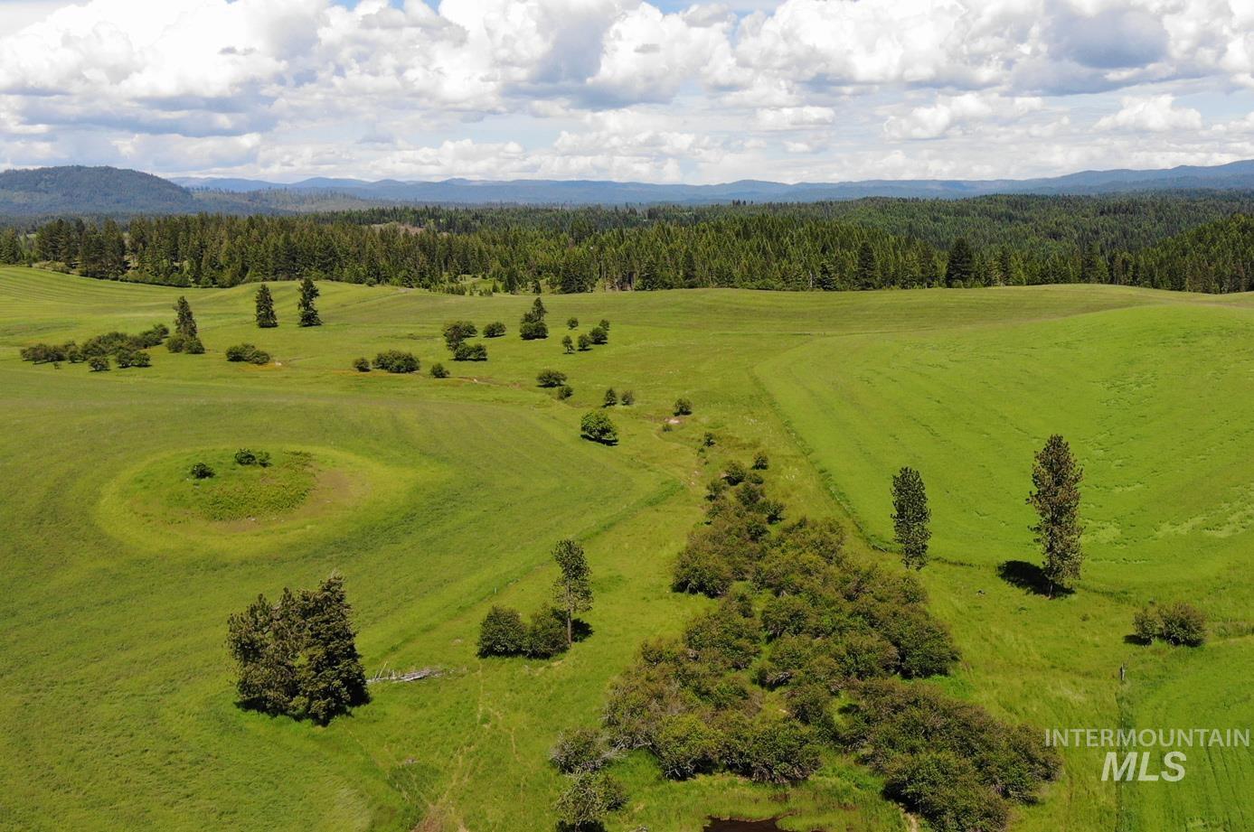 TBD Woodland-Caribel Road, Kamiah, Idaho 83536, Land For Sale, Price $995,000, 98948777