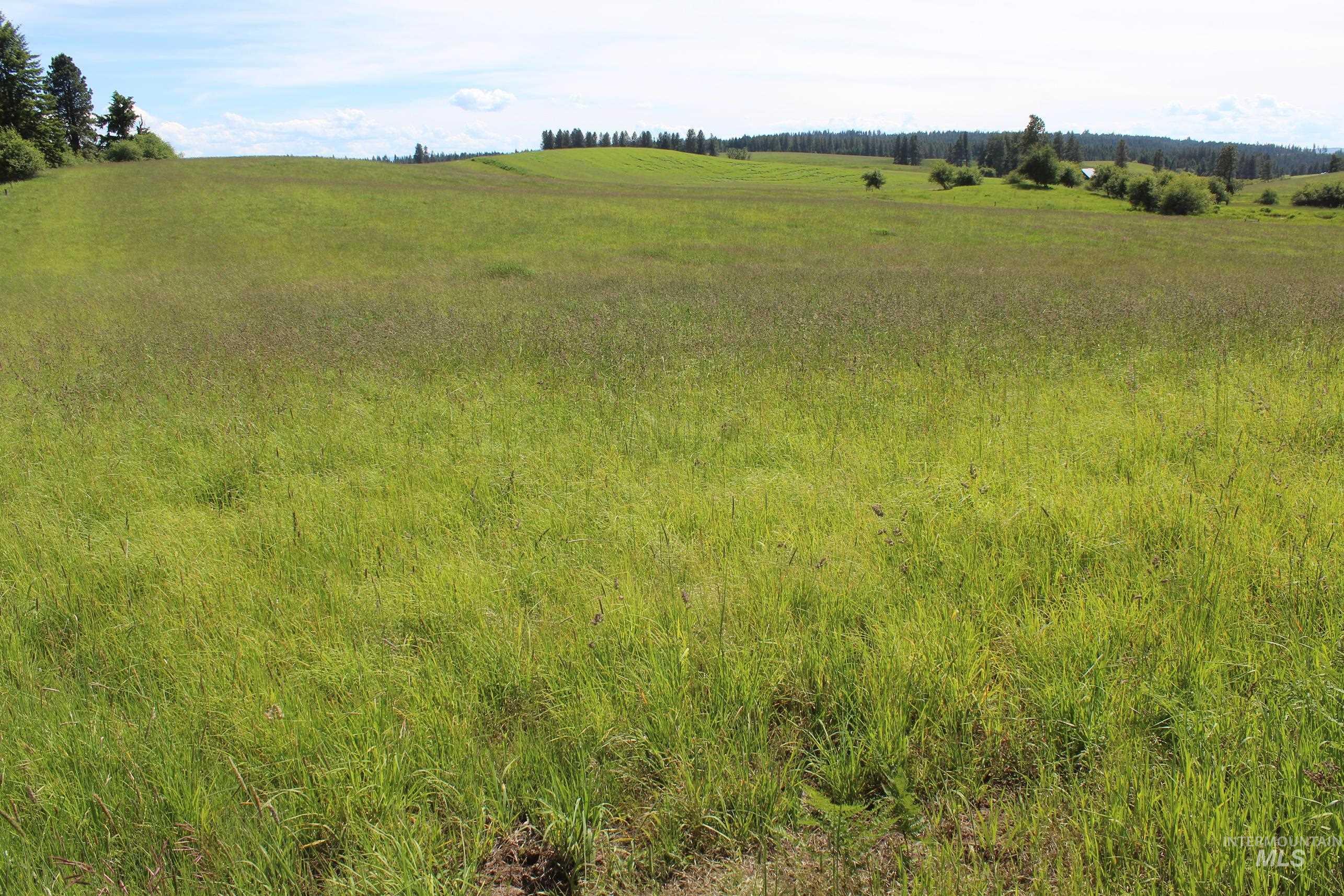 TBD Woodland-Caribel Road, Kamiah, Idaho 83536, Land For Sale, Price $995,000, 98948777