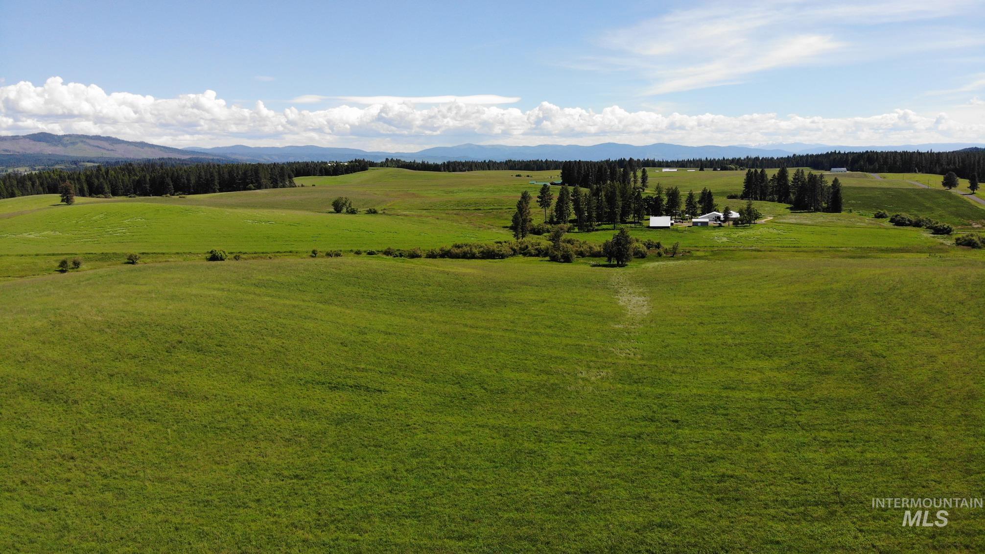 TBD Woodland-Caribel Road, Kamiah, Idaho 83536, Land For Sale, Price $995,000, 98948777