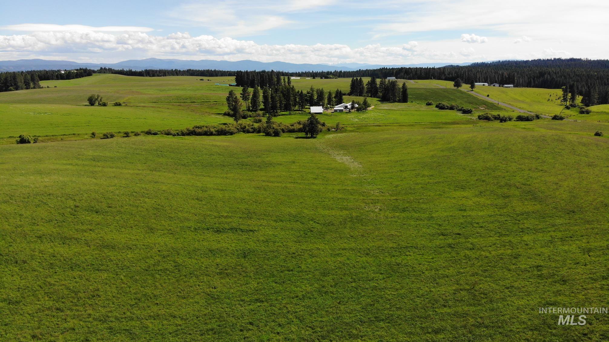 TBD Woodland-Caribel Road, Kamiah, Idaho 83536, Land For Sale, Price $995,000, 98948777