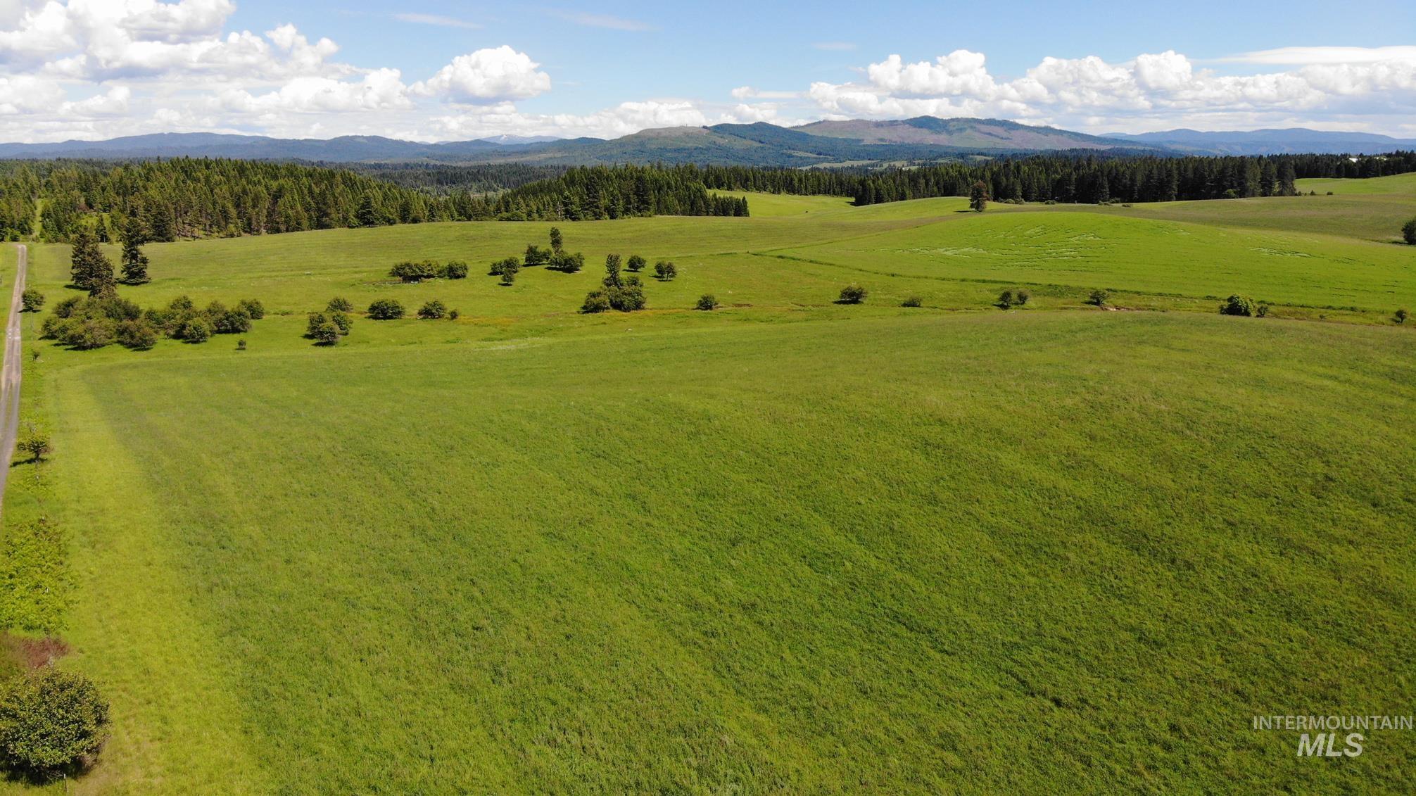 TBD Woodland-Caribel Road, Kamiah, Idaho 83536, Land For Sale, Price $995,000, 98948777