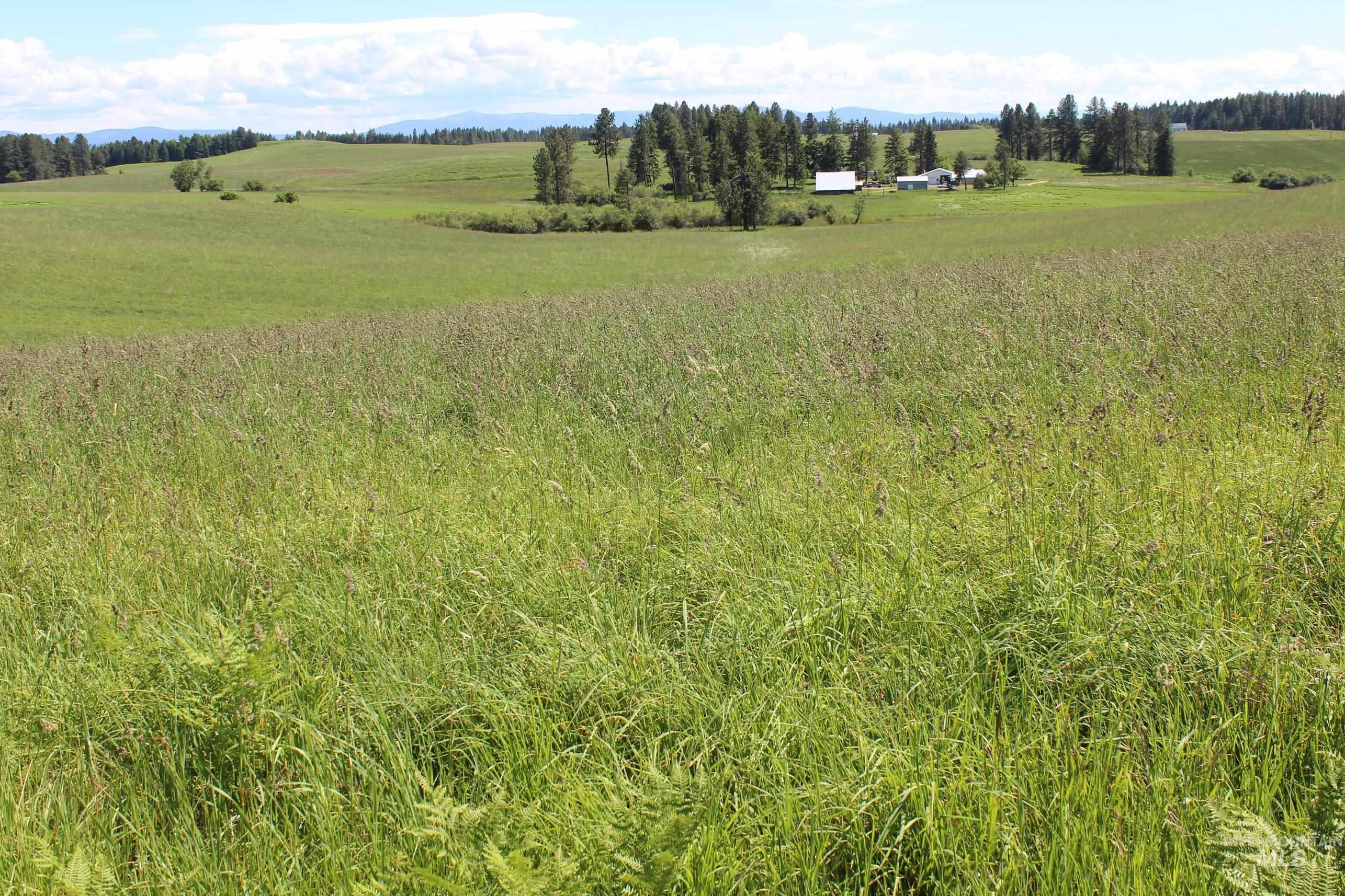 TBD Woodland-Caribel Road, Kamiah, Idaho 83536, Land For Sale, Price $995,000, 98948777