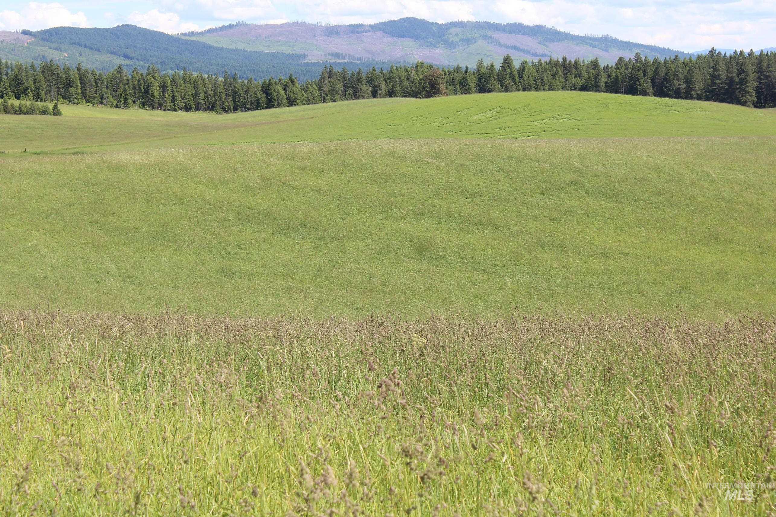 TBD Woodland-Caribel Road, Kamiah, Idaho 83536, Land For Sale, Price $995,000, 98948777