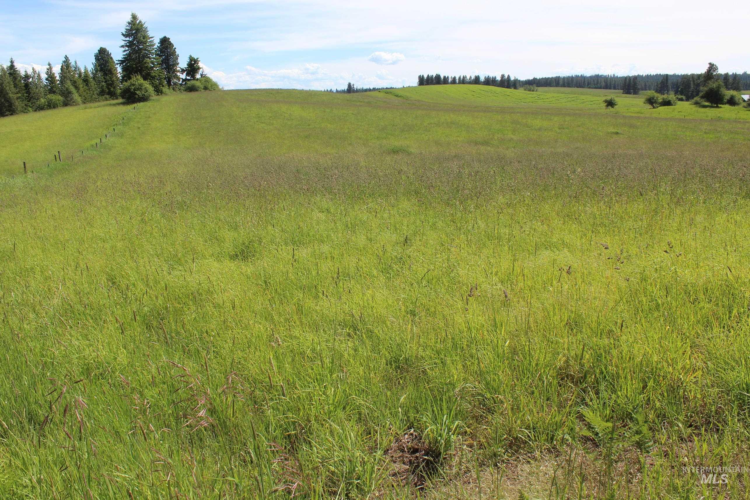 TBD Woodland-Caribel Road, Kamiah, Idaho 83536, Land For Sale, Price $995,000, 98948777
