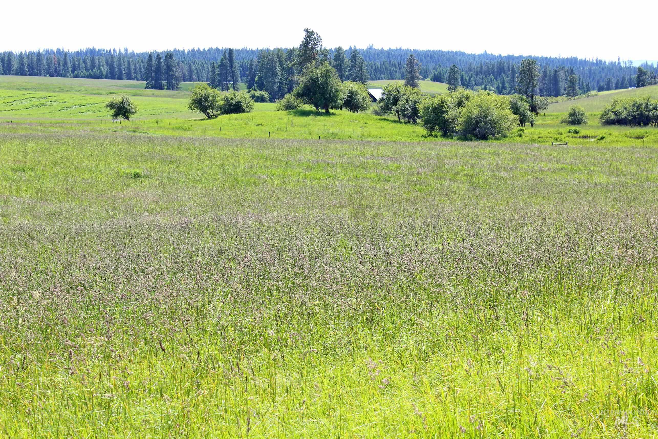 TBD Woodland-Caribel Road, Kamiah, Idaho 83536, Land For Sale, Price $995,000, 98948777