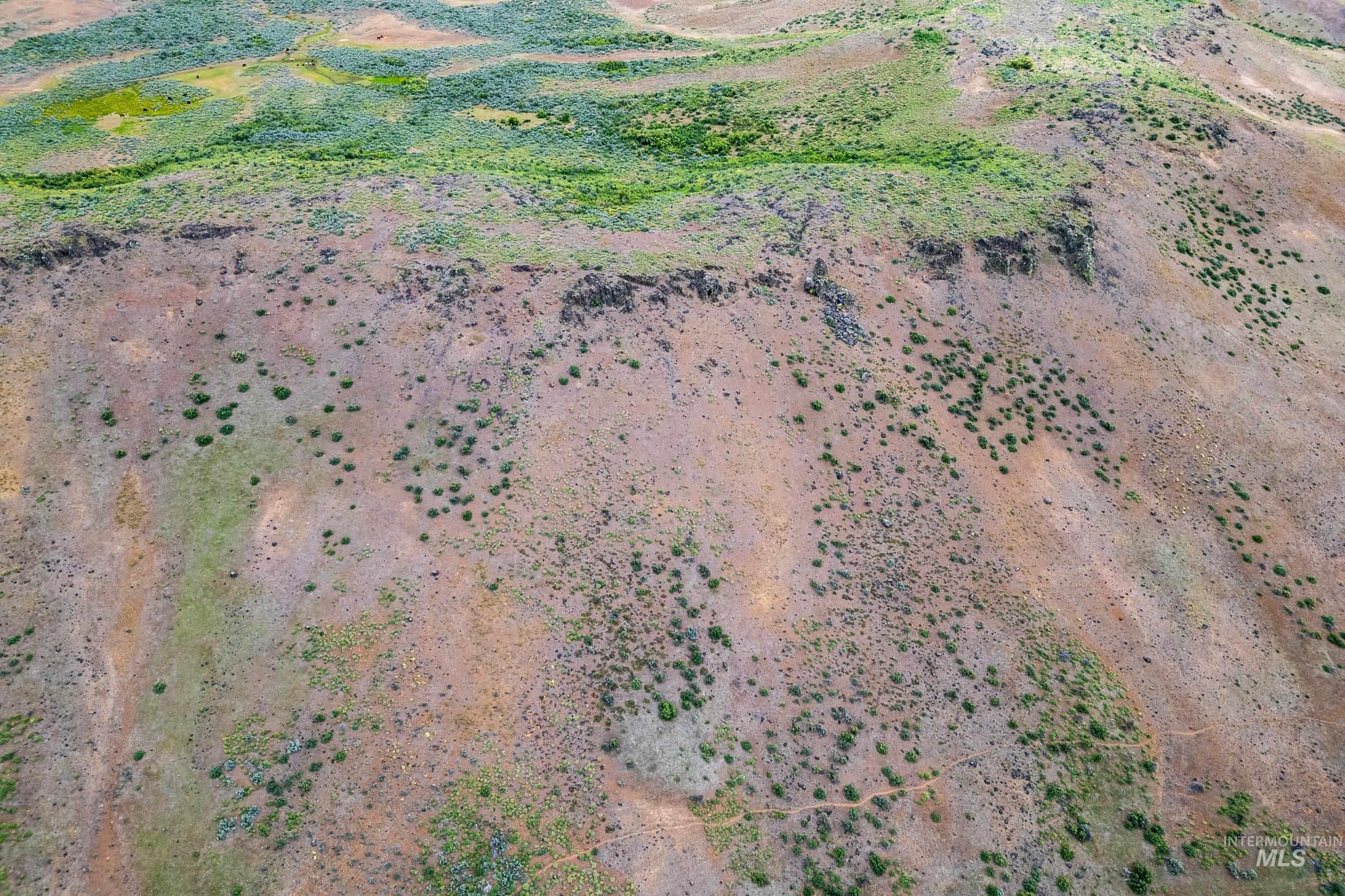 TBD Goodrich Rd, Council, Idaho 83612, Land For Sale, Price $175,000, 98948793