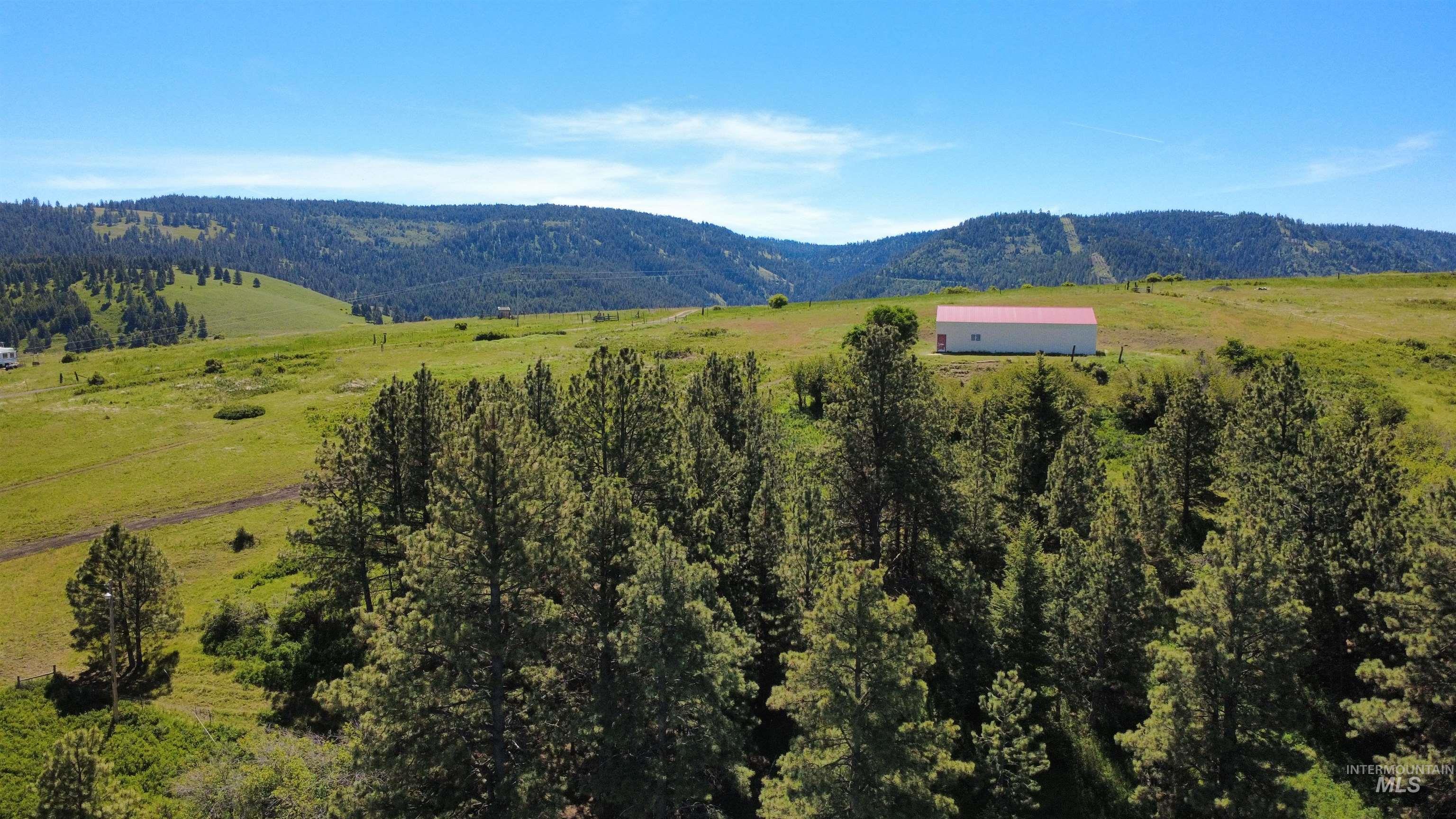 39055 Hilltop Ln, Lewiston, Idaho 83501, 3 Bedrooms, 2 Bathrooms, Residential For Sale, Price $495,000,MLS 98948907