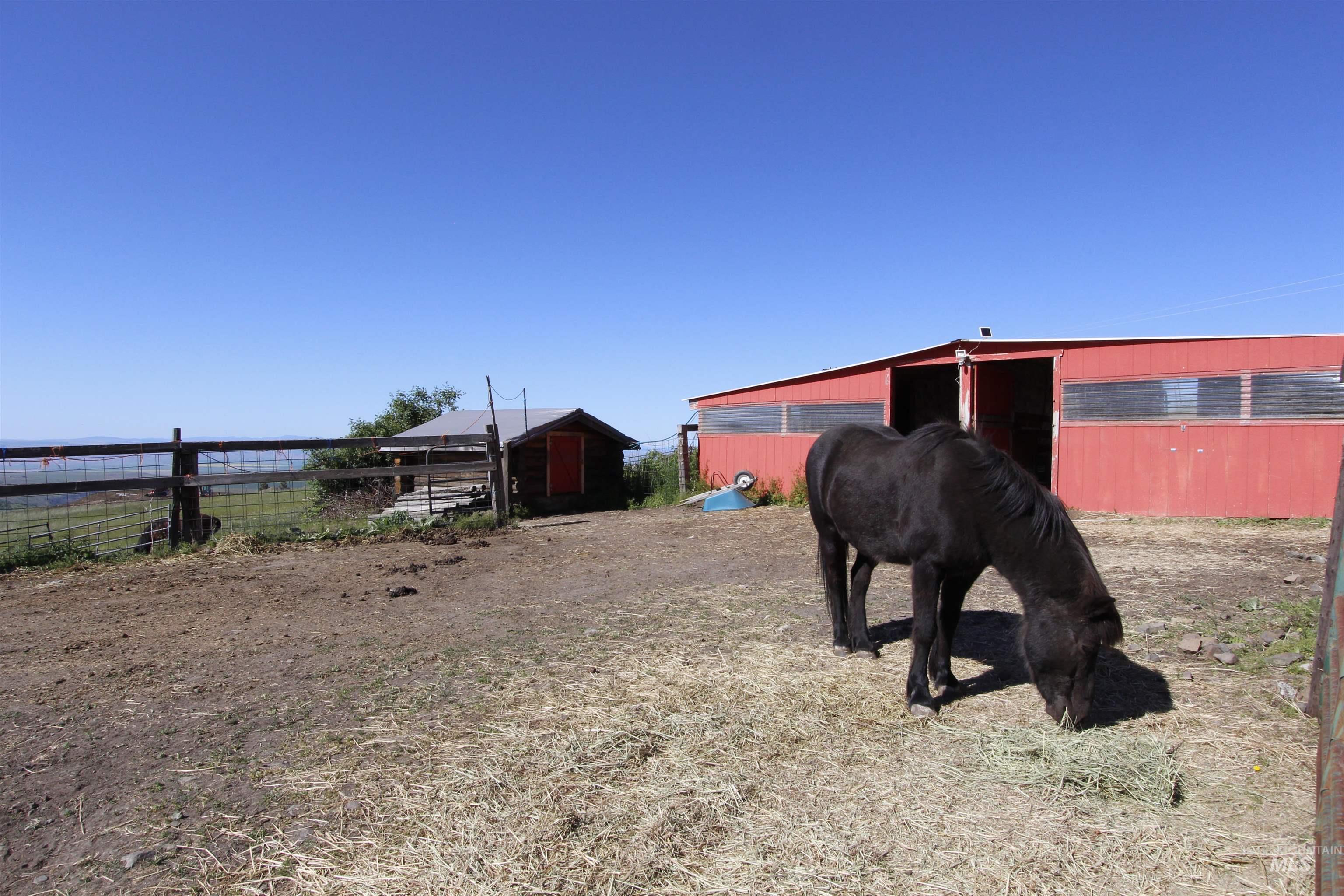 39055 Hilltop Ln, Lewiston, Idaho 83501, 3 Bedrooms, 2 Bathrooms, Residential For Sale, Price $495,000,MLS 98948907
