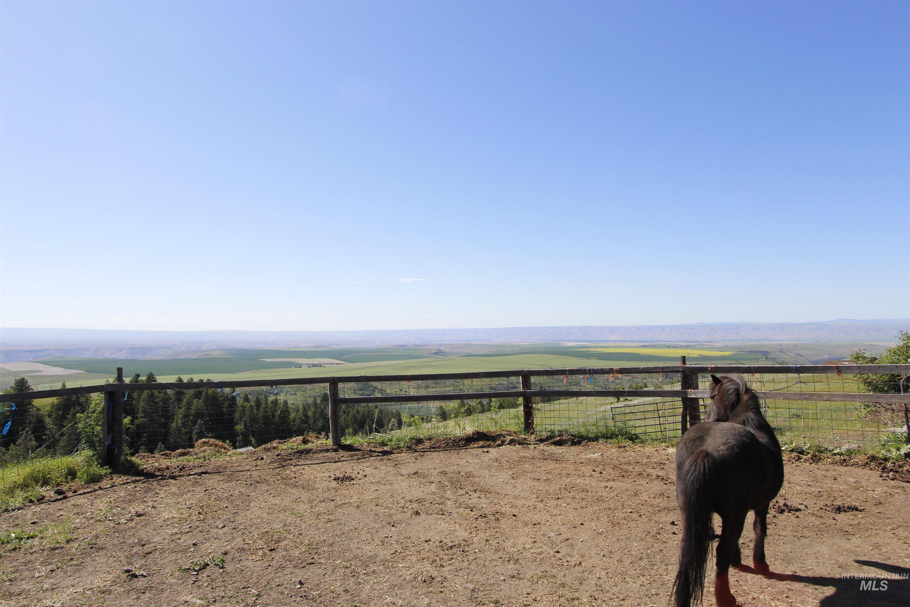 39055 Hilltop Ln, Lewiston, Idaho 83501, 3 Bedrooms, 2 Bathrooms, Residential For Sale, Price $495,000,MLS 98948907