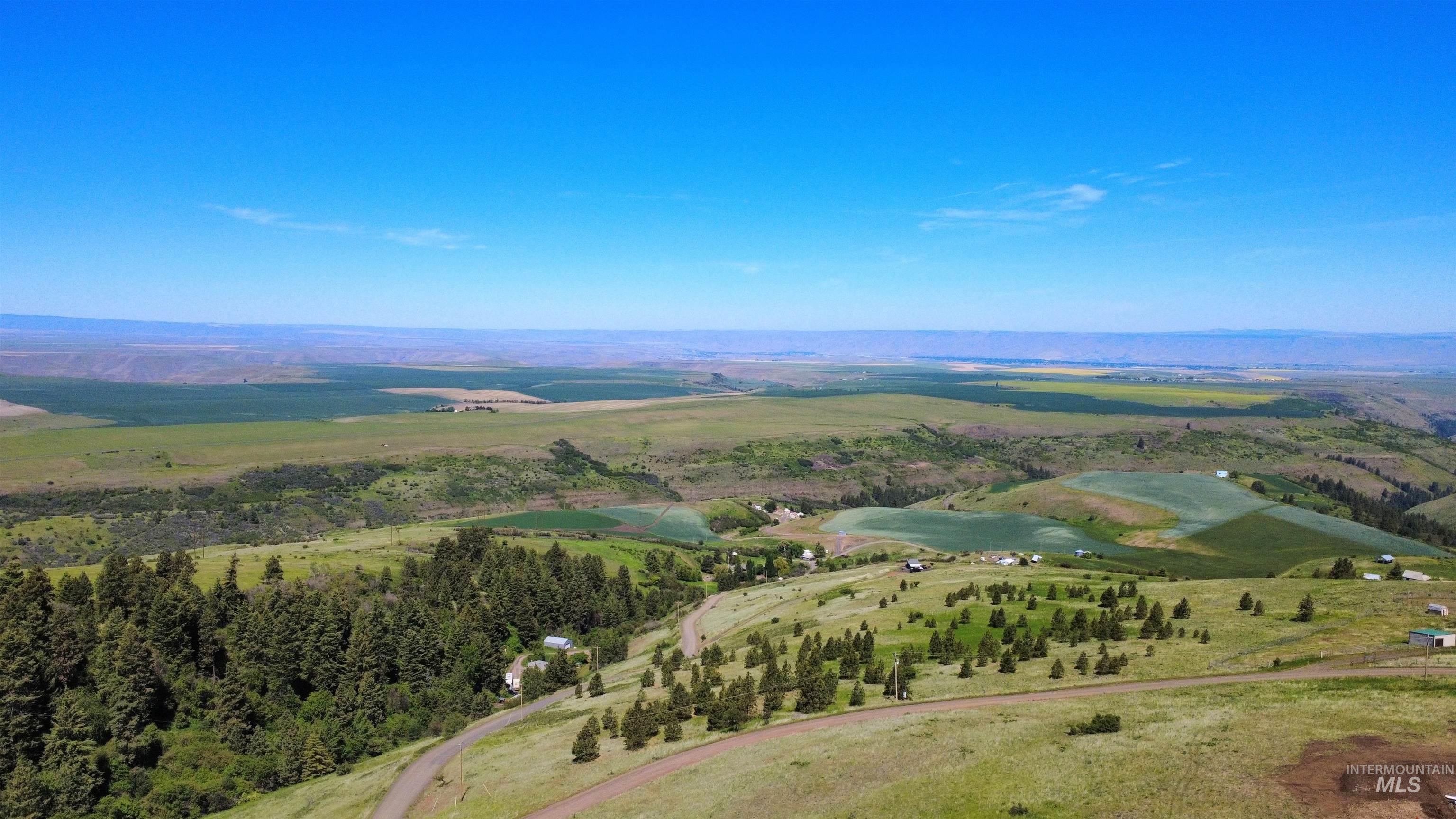 39055 Hilltop Ln, Lewiston, Idaho 83501, 3 Bedrooms, 2 Bathrooms, Residential For Sale, Price $495,000,MLS 98948907