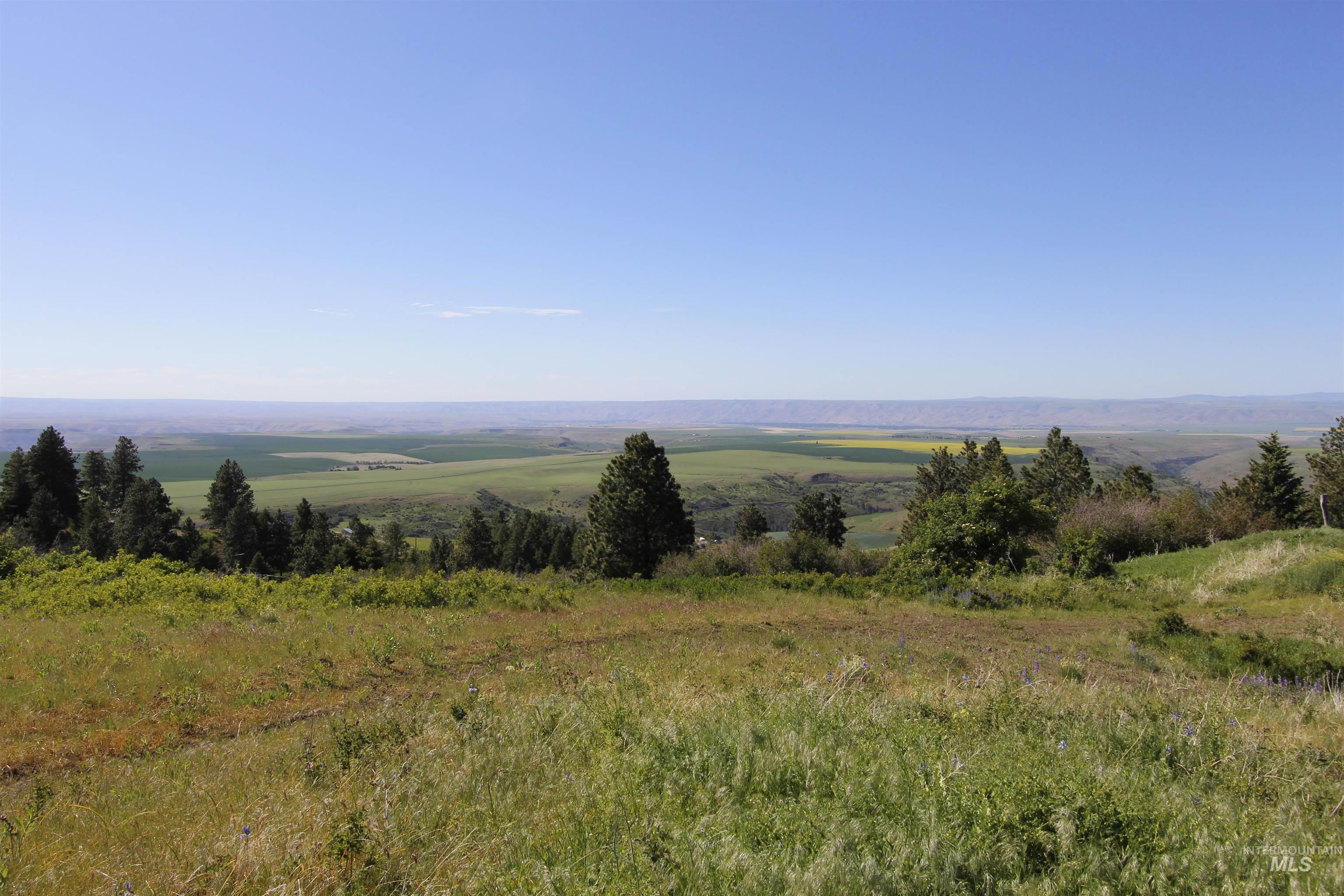 39055 Hilltop Ln, Lewiston, Idaho 83501, 3 Bedrooms, 2 Bathrooms, Residential For Sale, Price $495,000,MLS 98948907