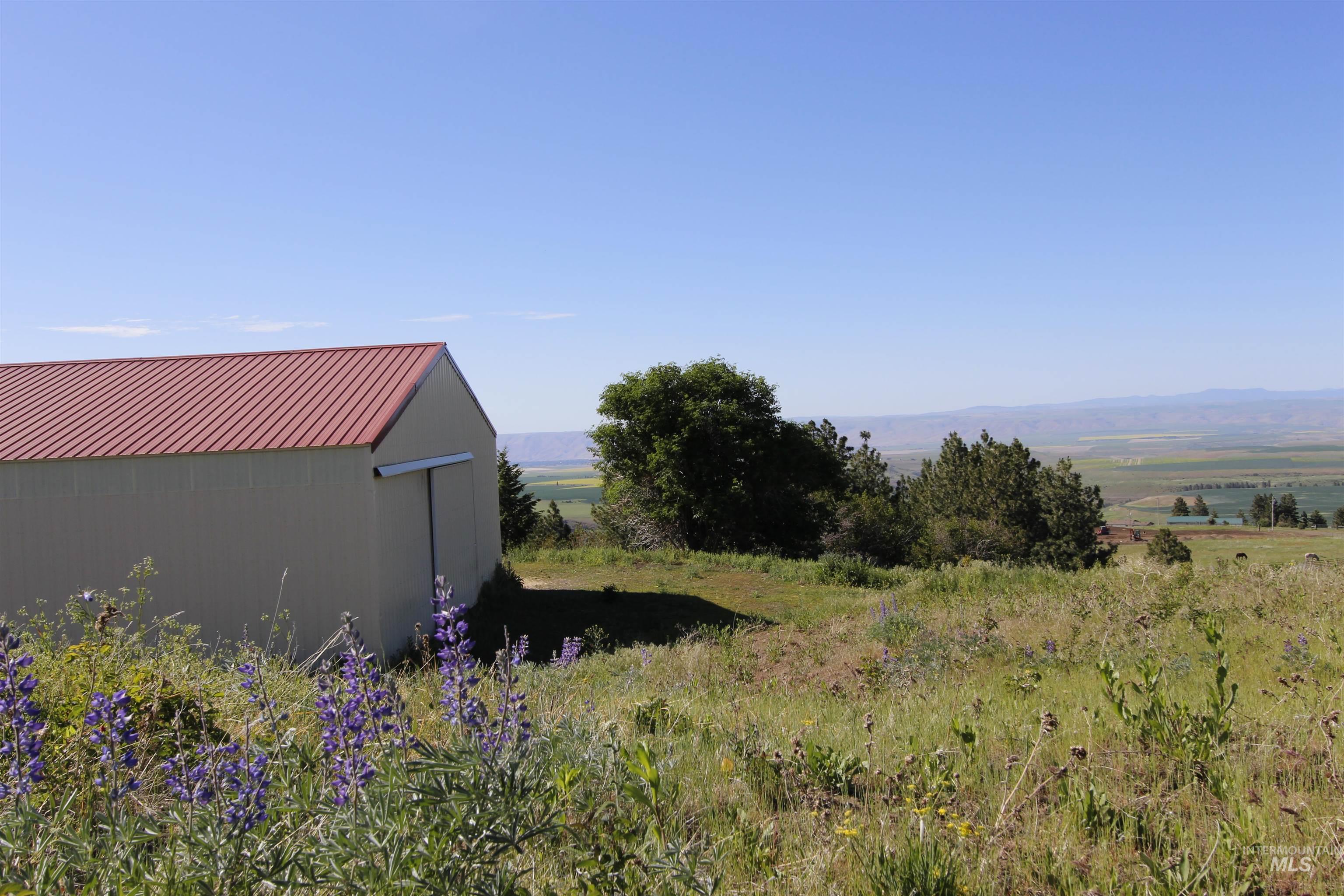 39055 Hilltop Ln, Lewiston, Idaho 83501, 3 Bedrooms, 2 Bathrooms, Residential For Sale, Price $495,000,MLS 98948907