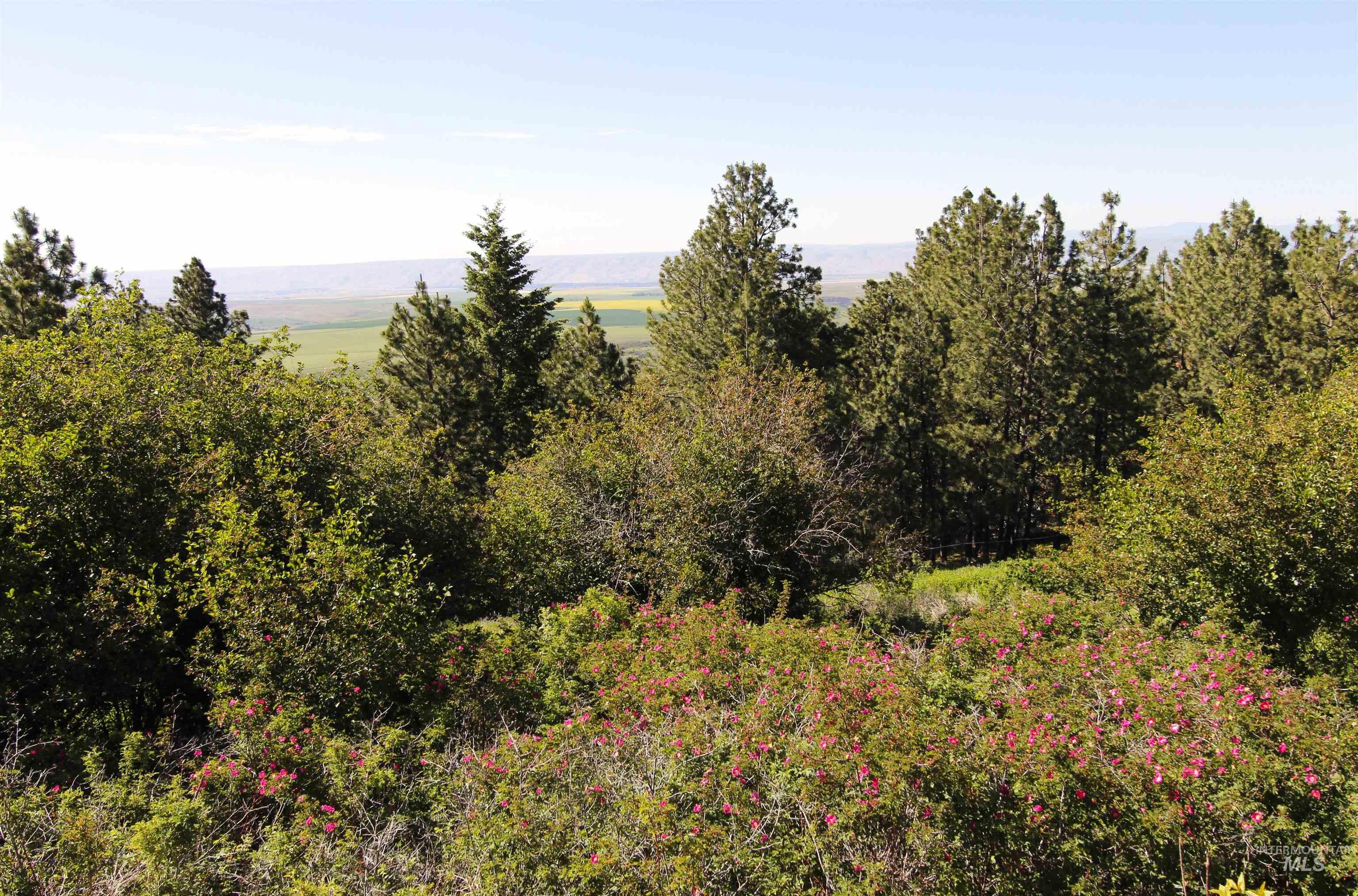 39055 Hilltop Ln, Lewiston, Idaho 83501, 3 Bedrooms, 2 Bathrooms, Residential For Sale, Price $495,000,MLS 98948907