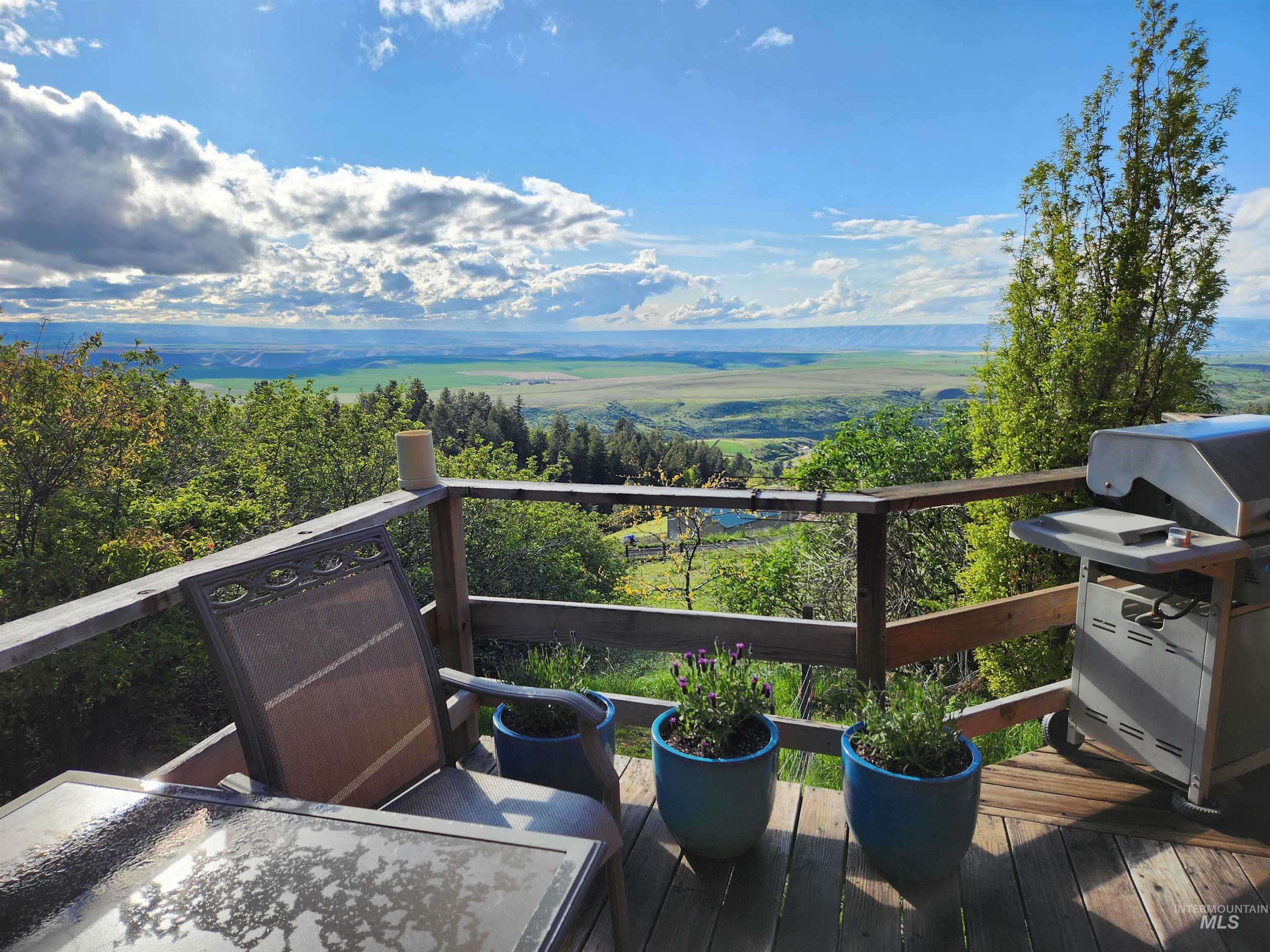 39055 Hilltop Ln, Lewiston, Idaho 83501, 3 Bedrooms, 2 Bathrooms, Residential For Sale, Price $495,000,MLS 98948907