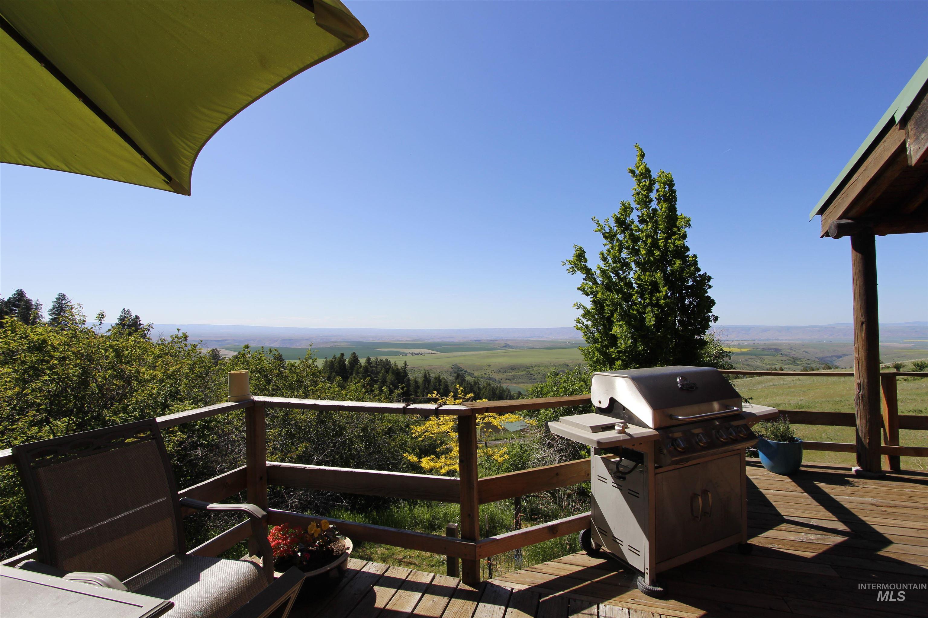 39055 Hilltop Ln, Lewiston, Idaho 83501, 3 Bedrooms, 2 Bathrooms, Residential For Sale, Price $495,000,MLS 98948907