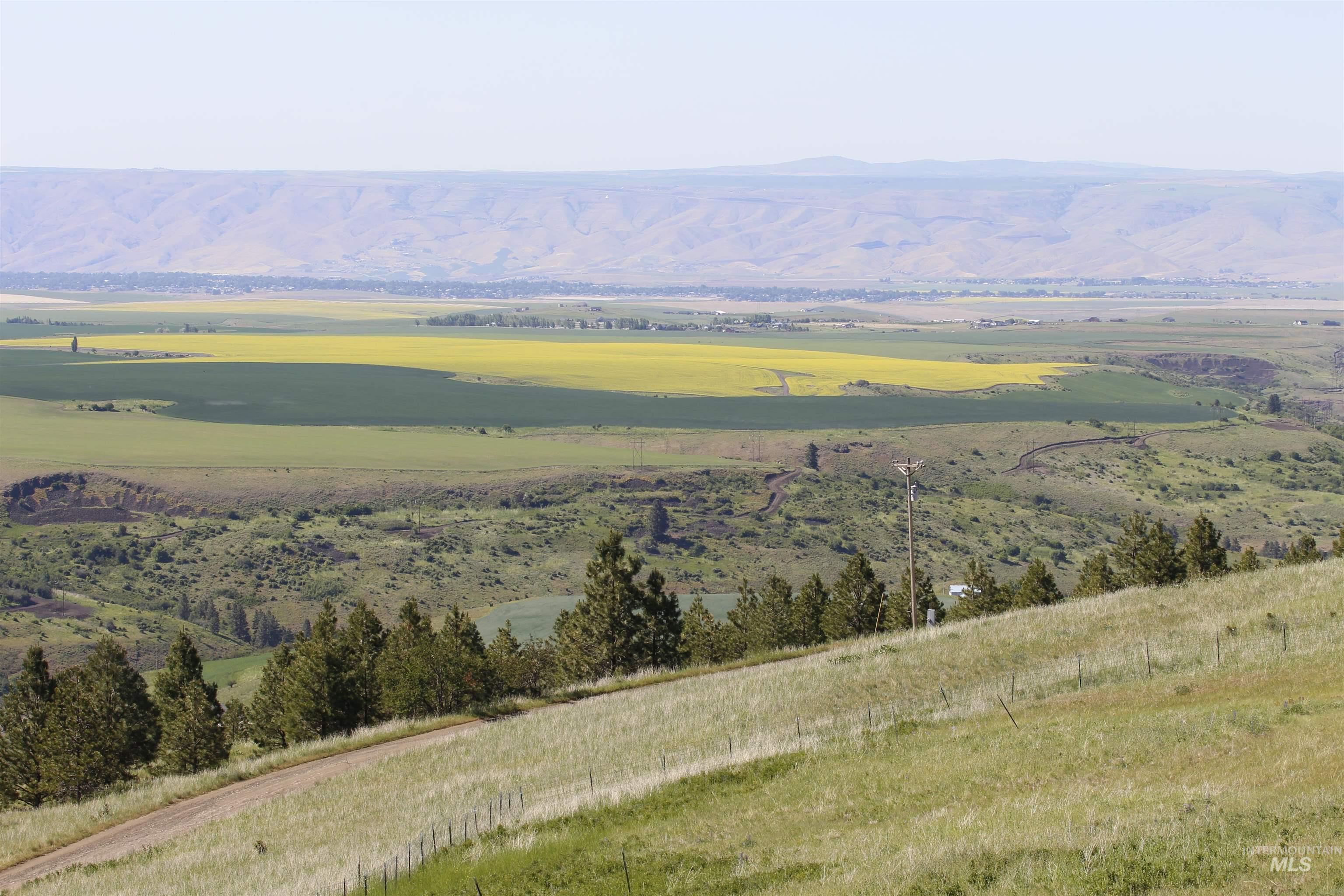 39055 Hilltop Ln, Lewiston, Idaho 83501, 3 Bedrooms, 2 Bathrooms, Residential For Sale, Price $495,000,MLS 98948907