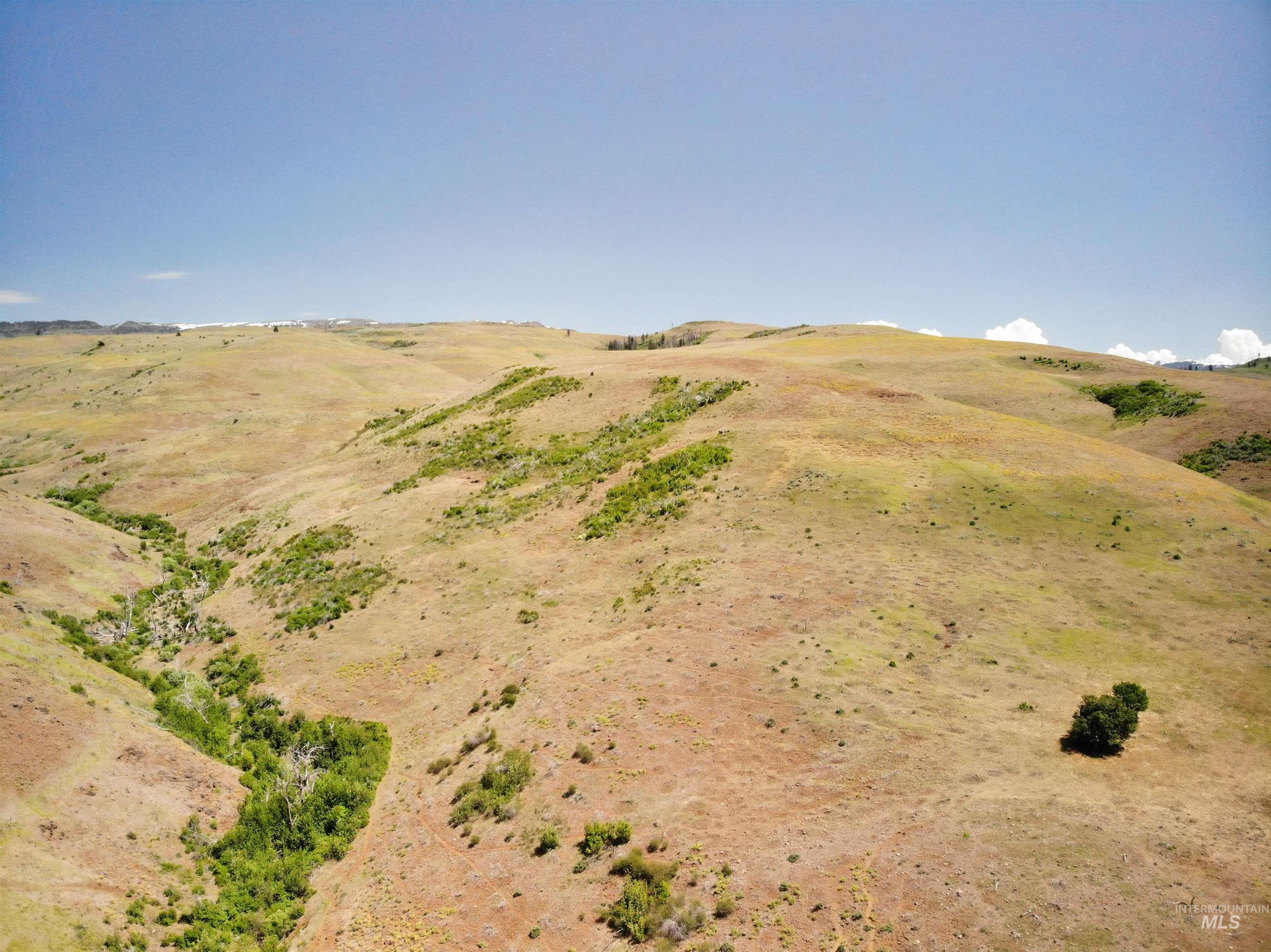 TBD Middle Fork Road, Council, Idaho 83612, Land For Sale, Price $299,000,MLS 98949009