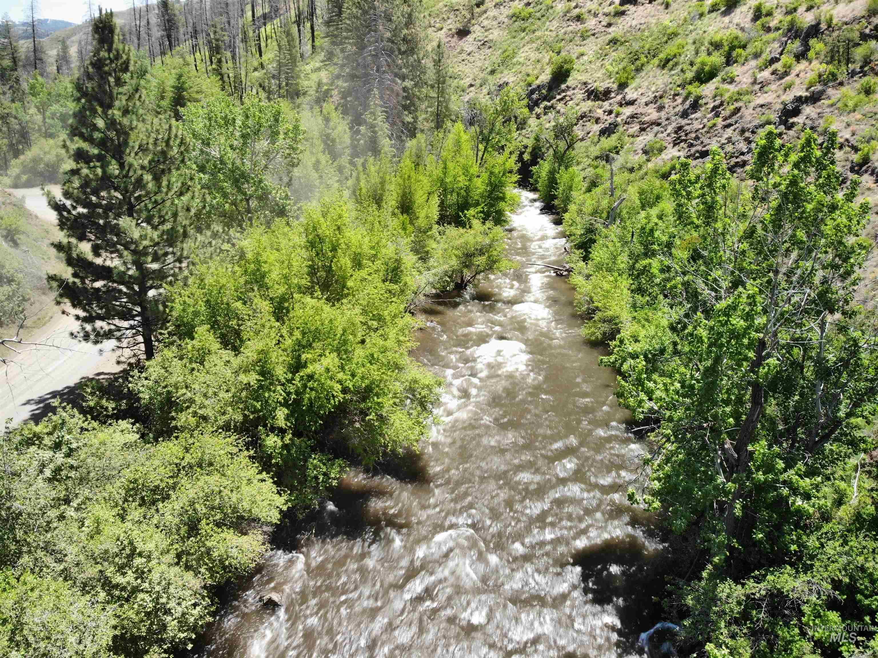 TBD Middle Fork Road, Council, Idaho 83612, Land For Sale, Price $299,000,MLS 98949009