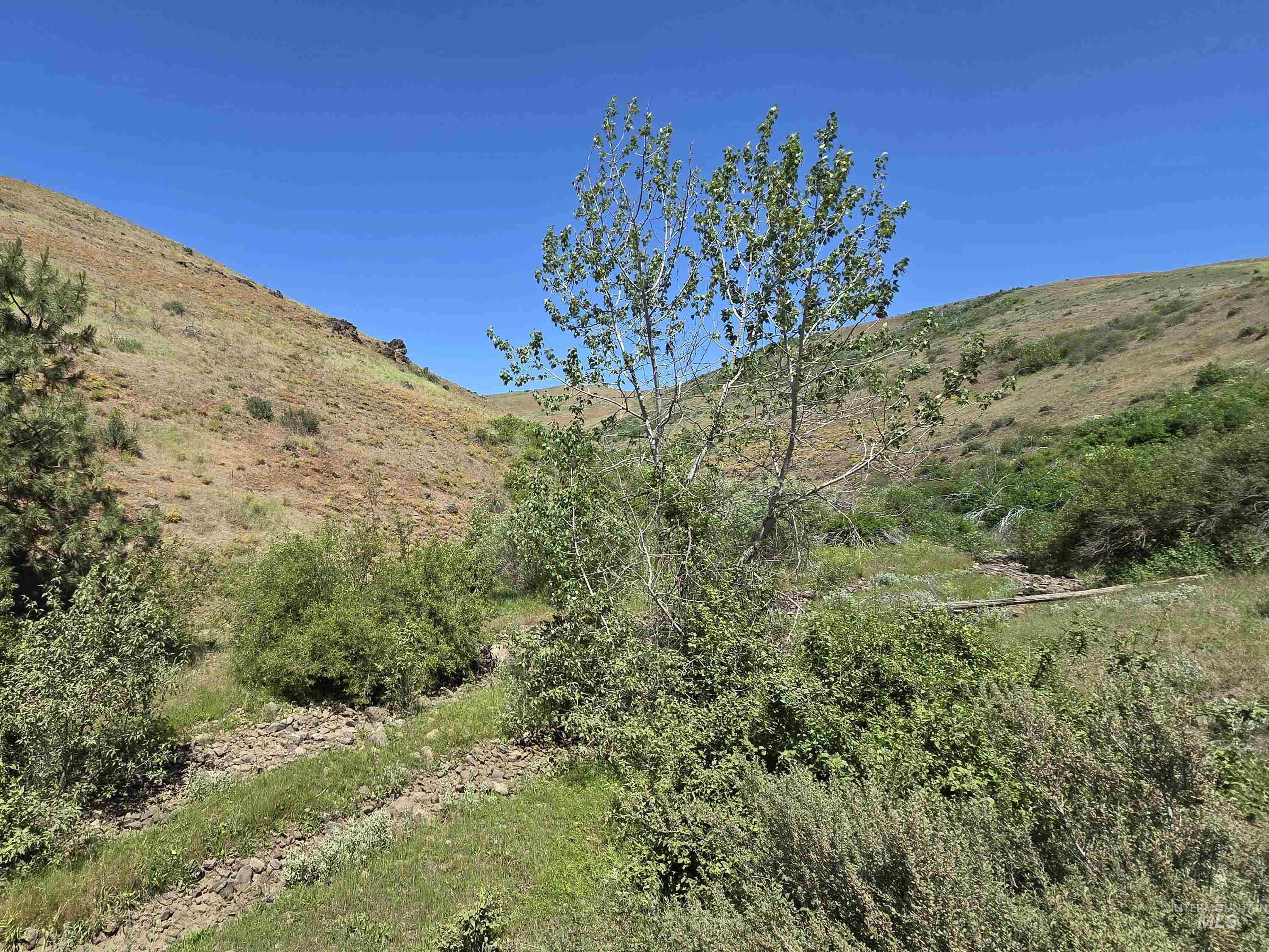 TBD Middle Fork Road, Council, Idaho 83612, Land For Sale, Price $299,000,MLS 98949009