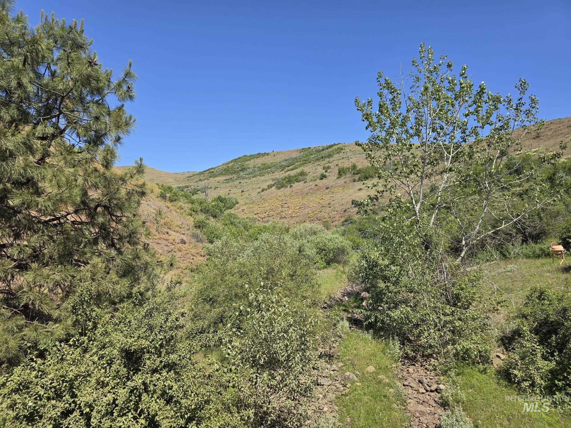 TBD Middle Fork Road, Council, Idaho 83612, Land For Sale, Price $299,000,MLS 98949009